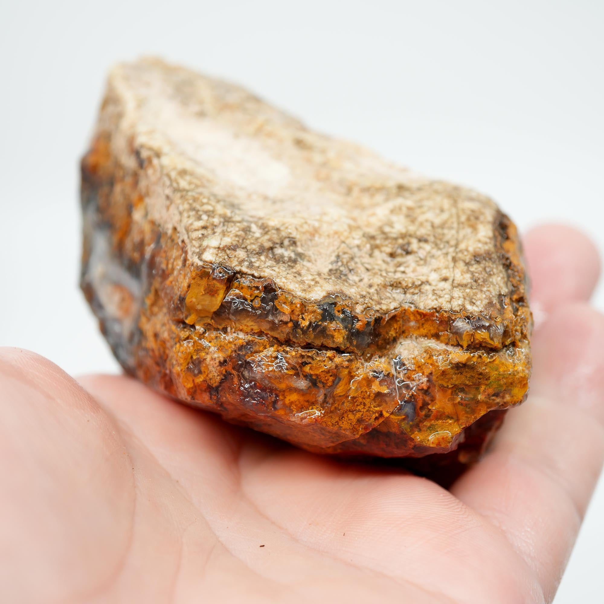 San Carlos Agate Rough - Multi-Side Red and Golden Moss Cutter