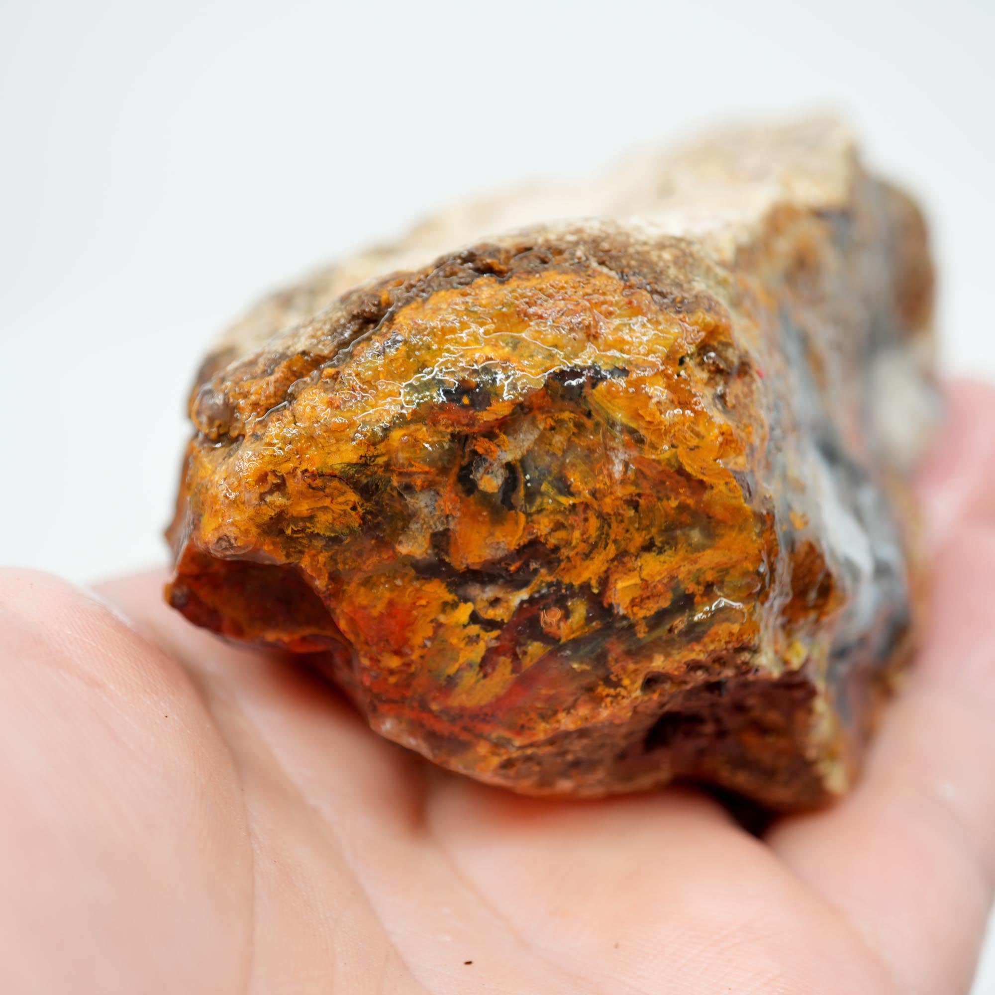 San Carlos Agate Rough - Multi-Side Red and Golden Moss Cutter