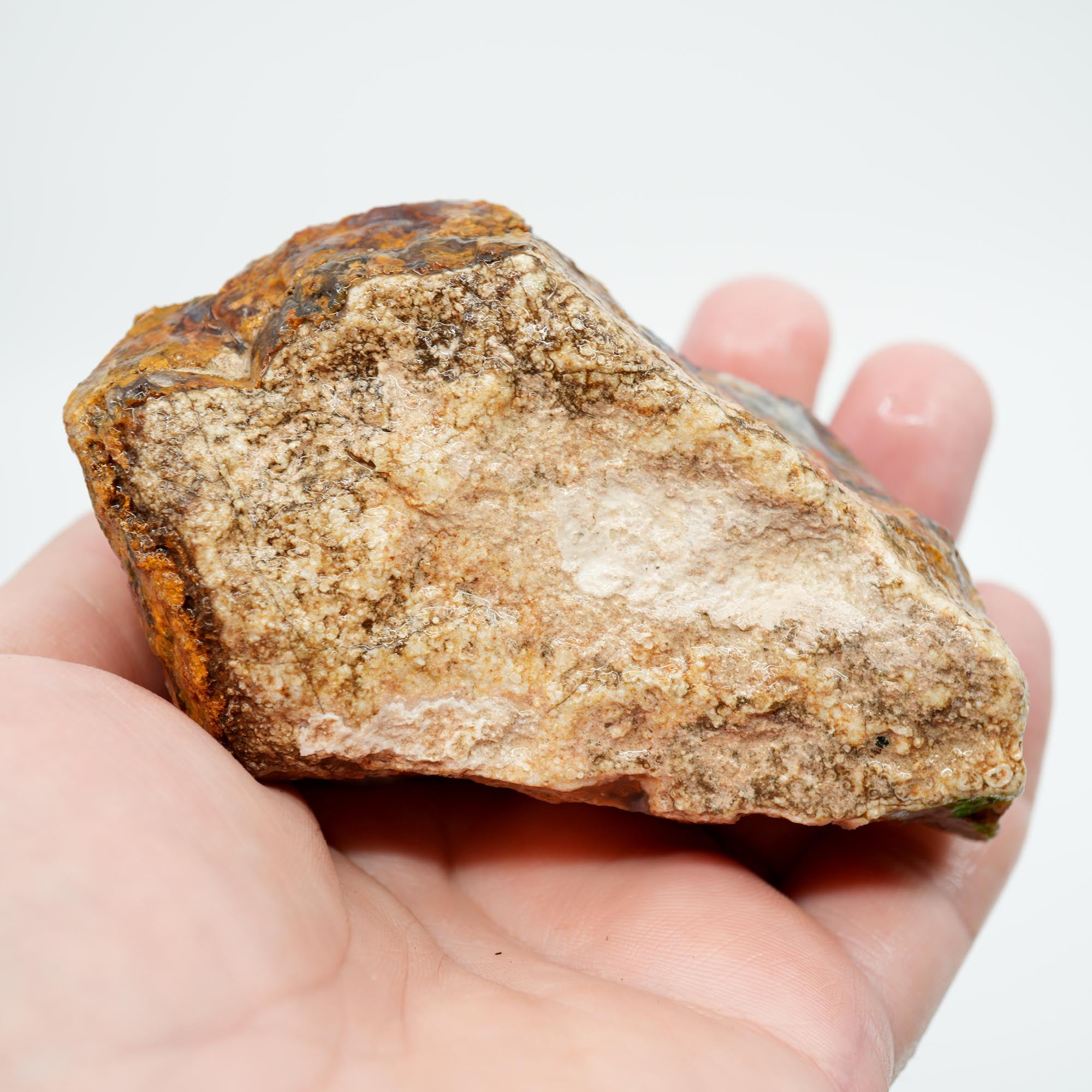 San Carlos Agate Rough - Multi-Side Red and Golden Moss Cutter