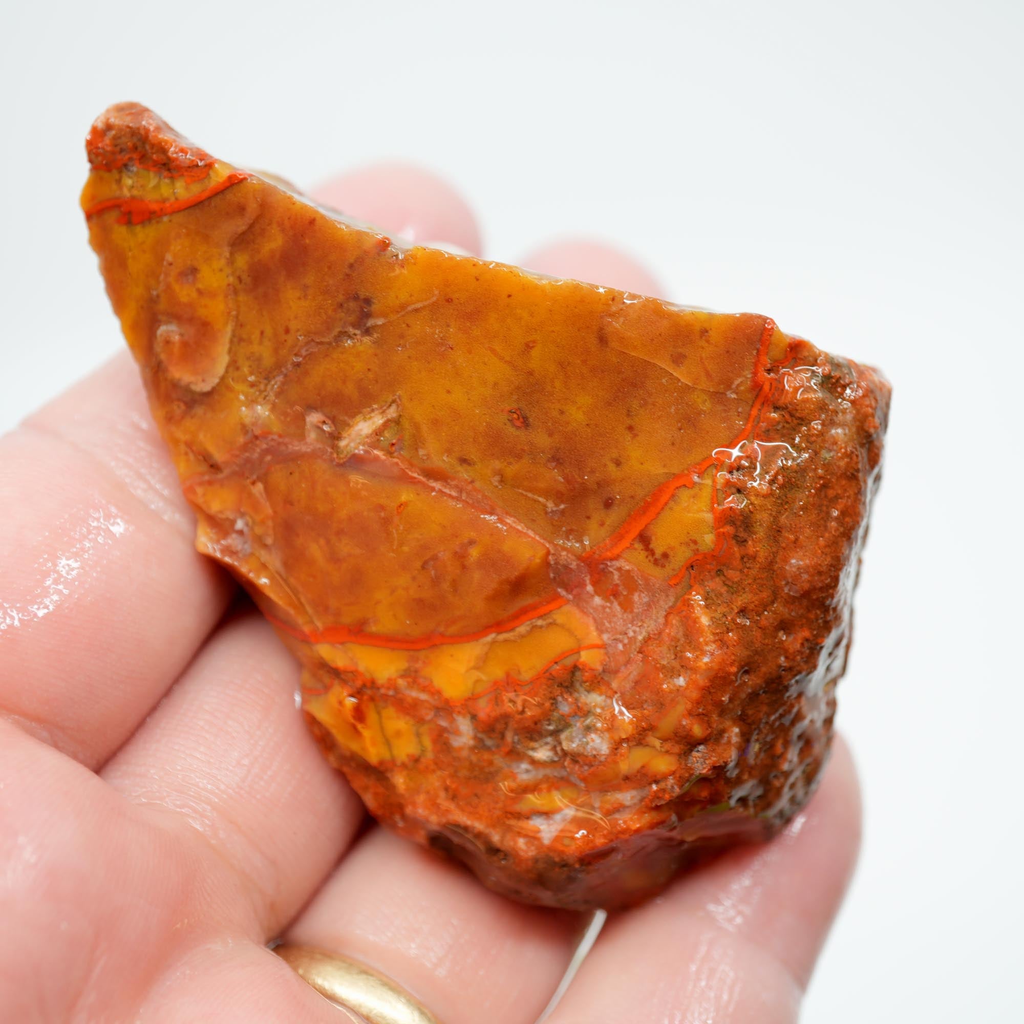 Alabama Paint Agate Rough - Smaller Trimmer Butterscotch with Flowing Red