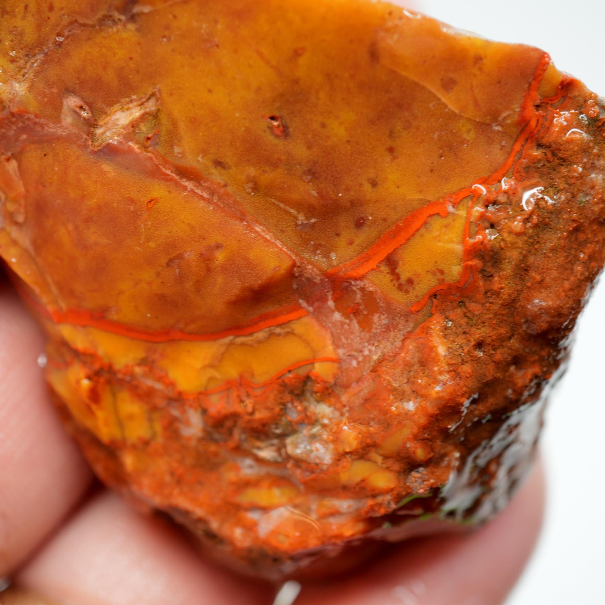 Alabama Paint Agate Rough - Smaller Trimmer Butterscotch with Flowing Red