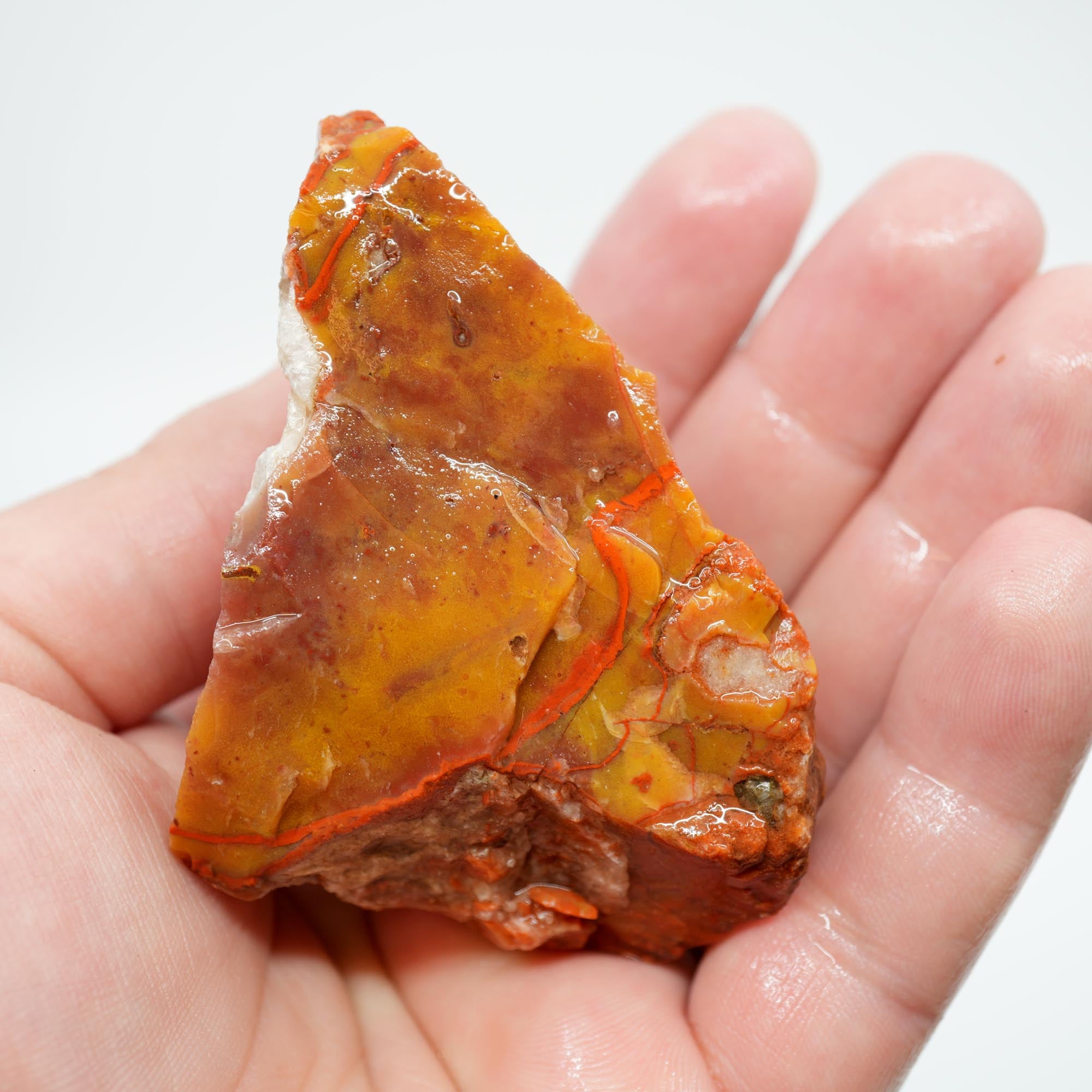 Alabama Paint Agate Rough - Smaller Trimmer Butterscotch with Flowing Red