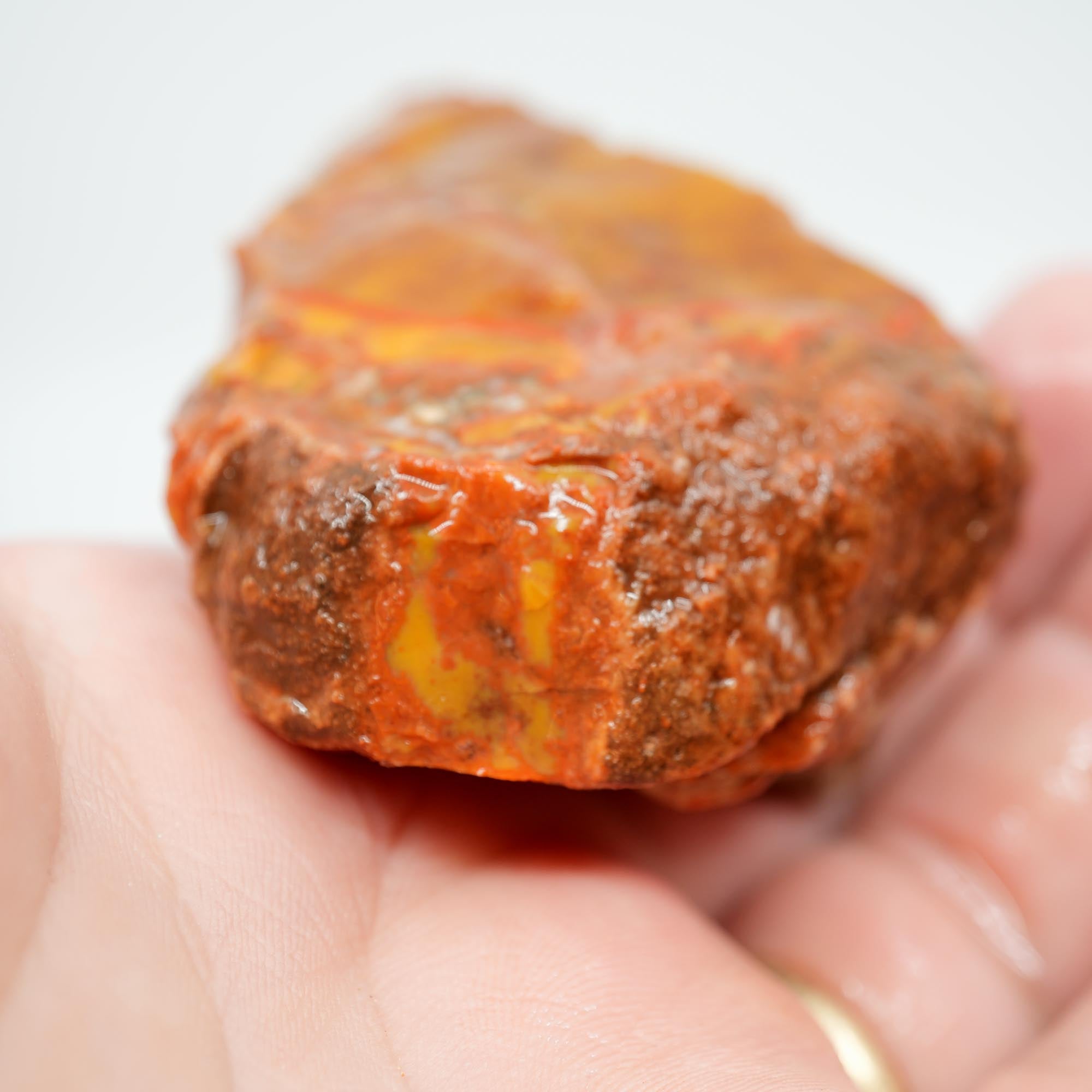 Alabama Paint Agate Rough - Smaller Trimmer Butterscotch with Flowing Red