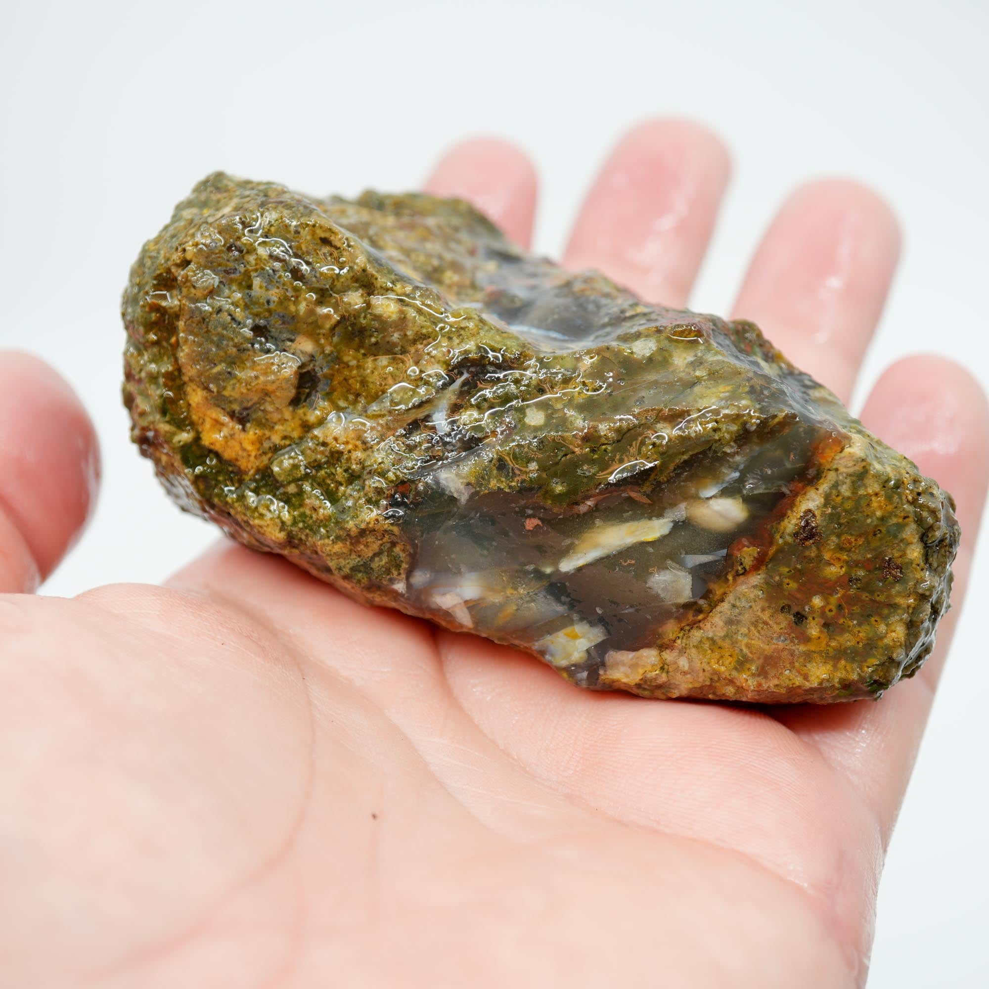 Mystery Thunder Egg Rough - Likely Lucky Strike with Blue Agate