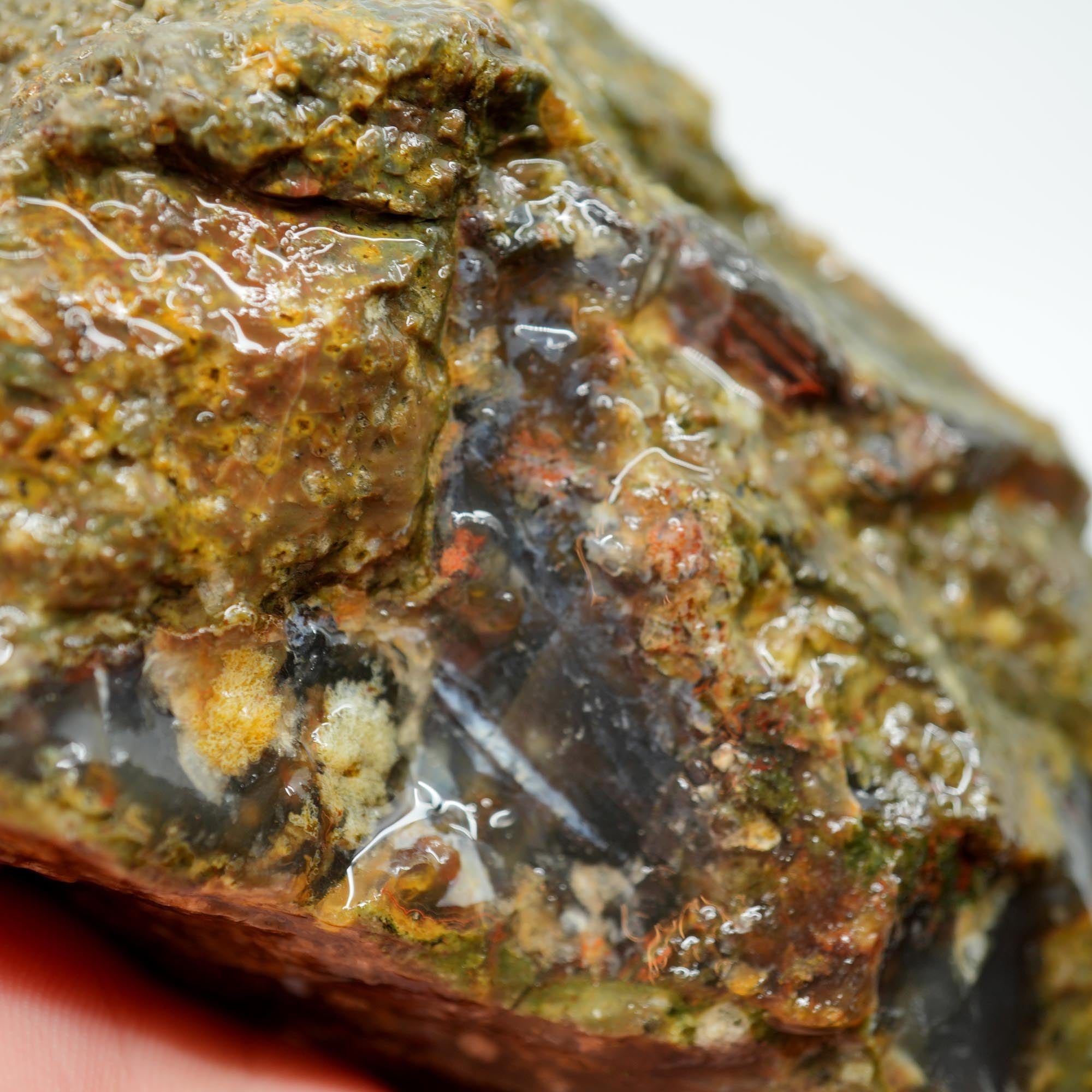 Mystery Thunder Egg Rough - Likely Lucky Strike with Blue Agate