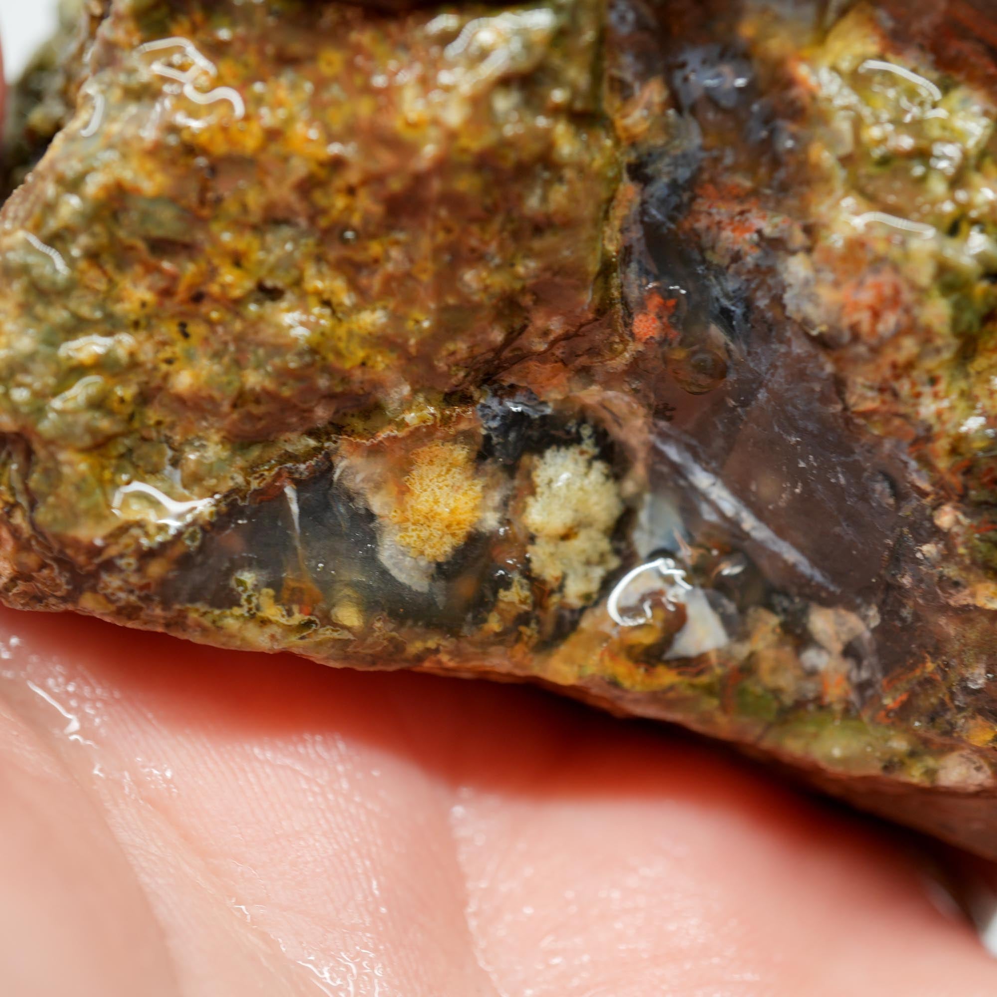 Mystery Thunder Egg Rough - Likely Lucky Strike with Blue Agate