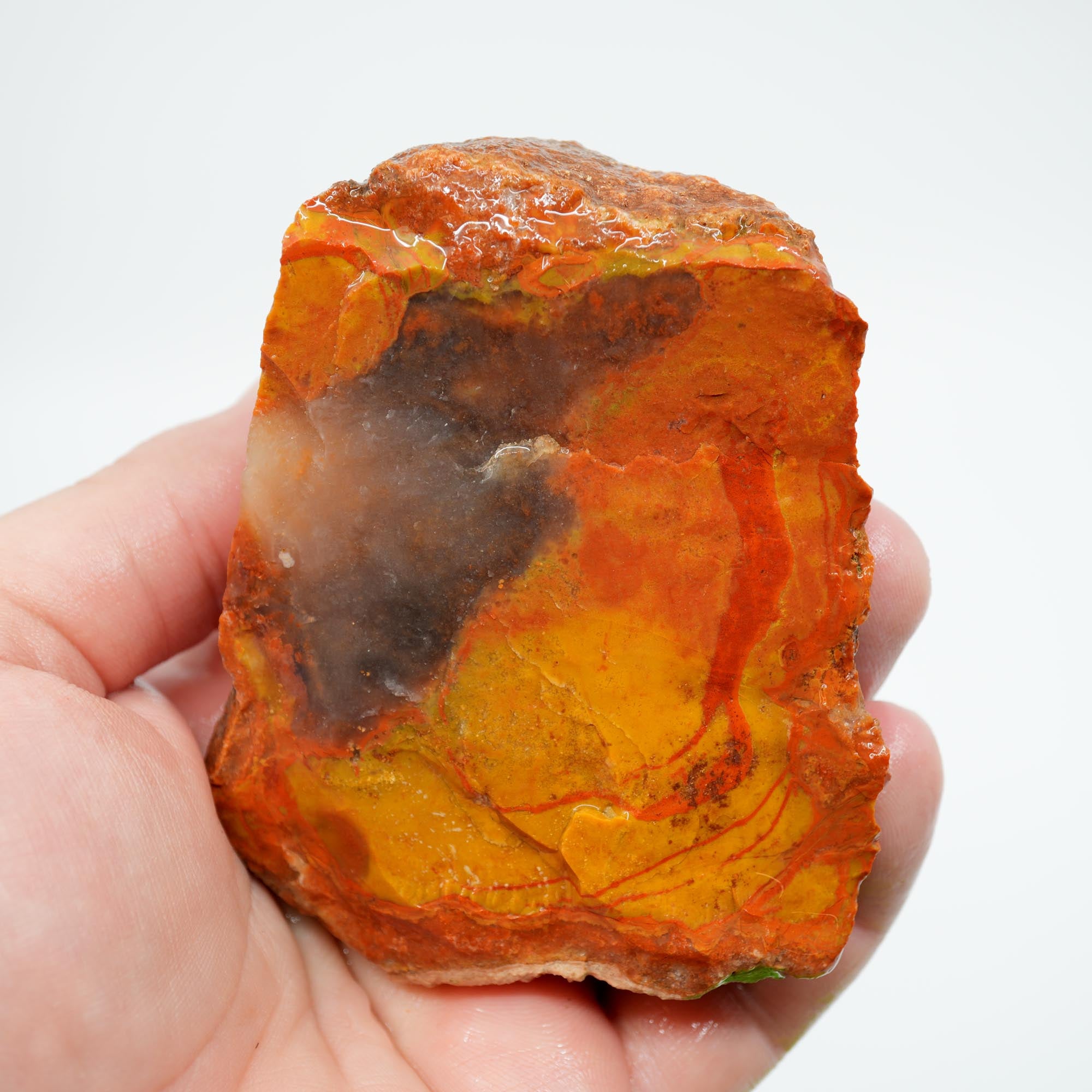 Alabama Paint Agate Rough - Blue Ice Agate with Butterscotch and Red