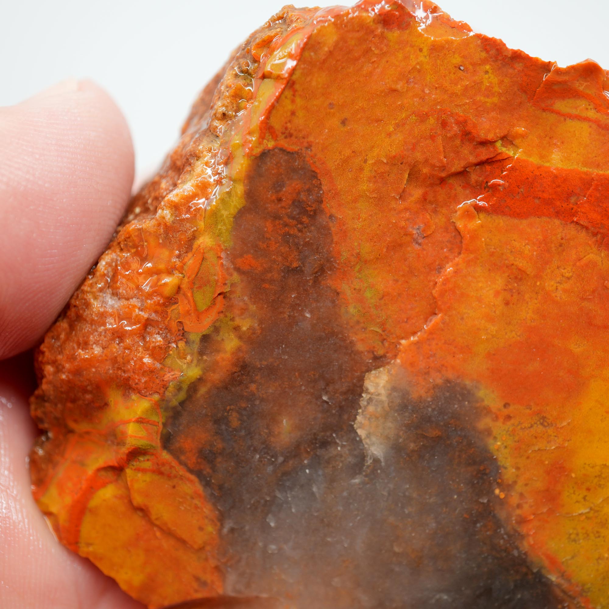 Alabama Paint Agate Rough - Blue Ice Agate with Butterscotch and Red