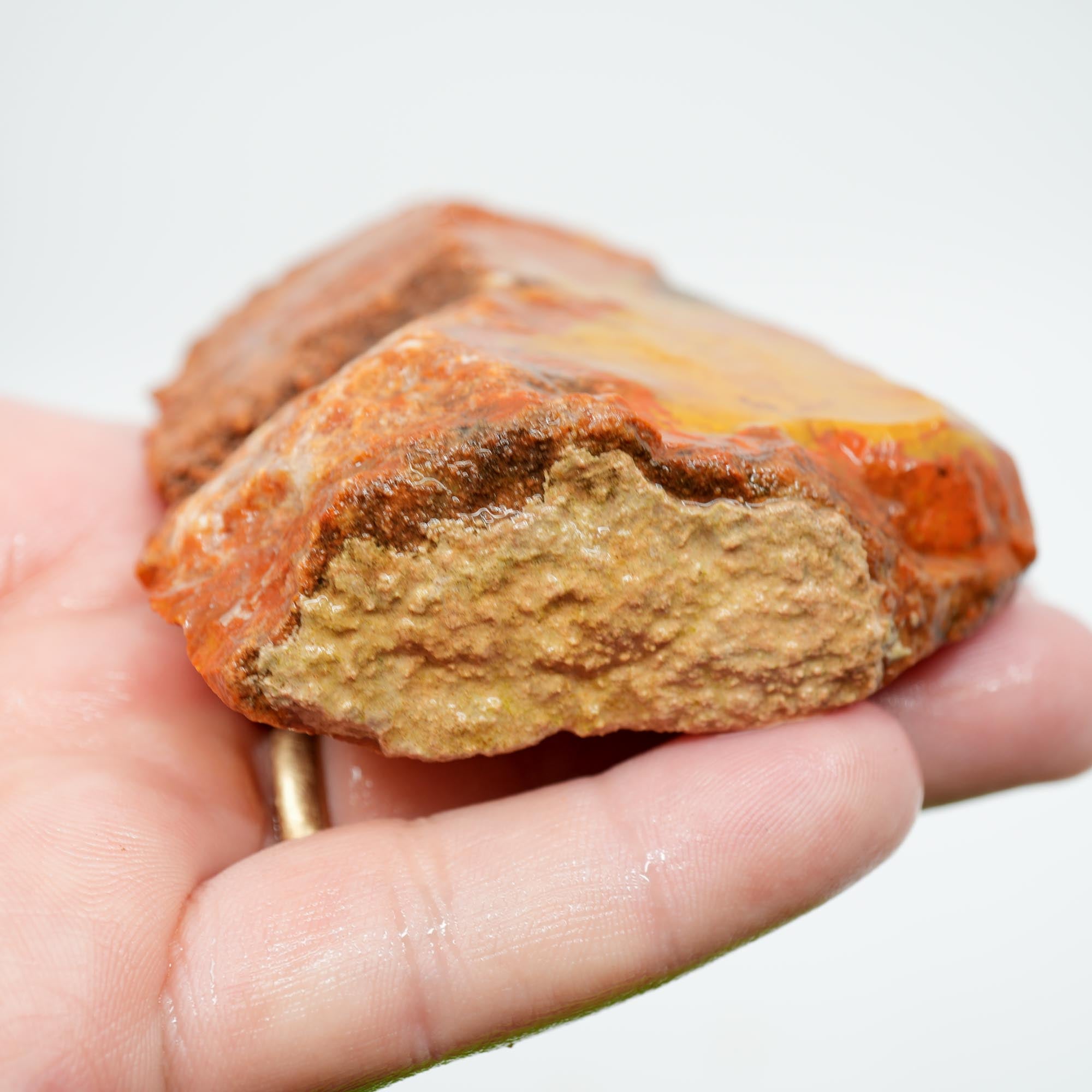 Alabama Paint Agate Rough - Blue Ice Agate with Butterscotch and Red