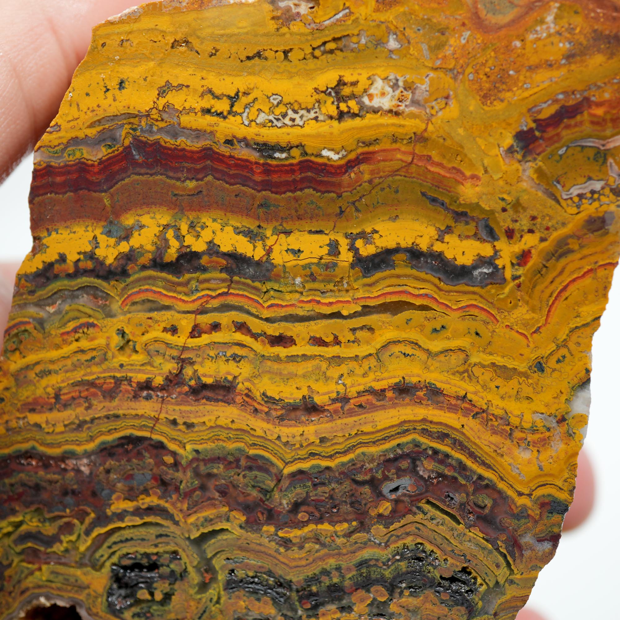 Apple Valley Jasper Cut and Proven - Black Druzy and Hematite Flowers