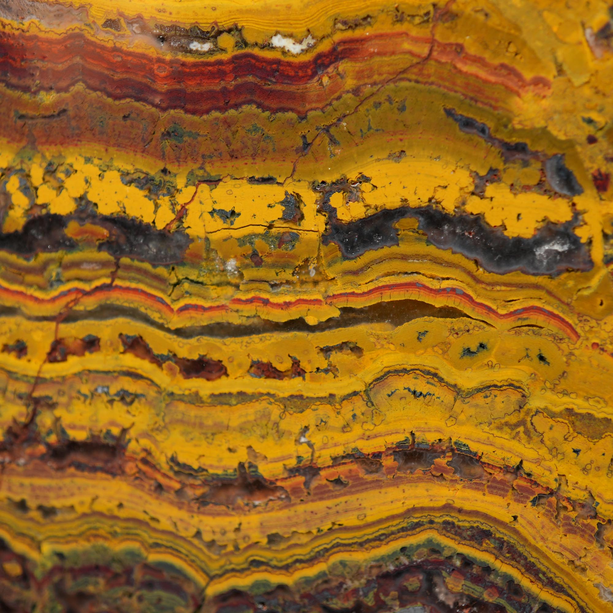 Apple Valley Jasper Cut and Proven - Black Druzy and Hematite Flowers