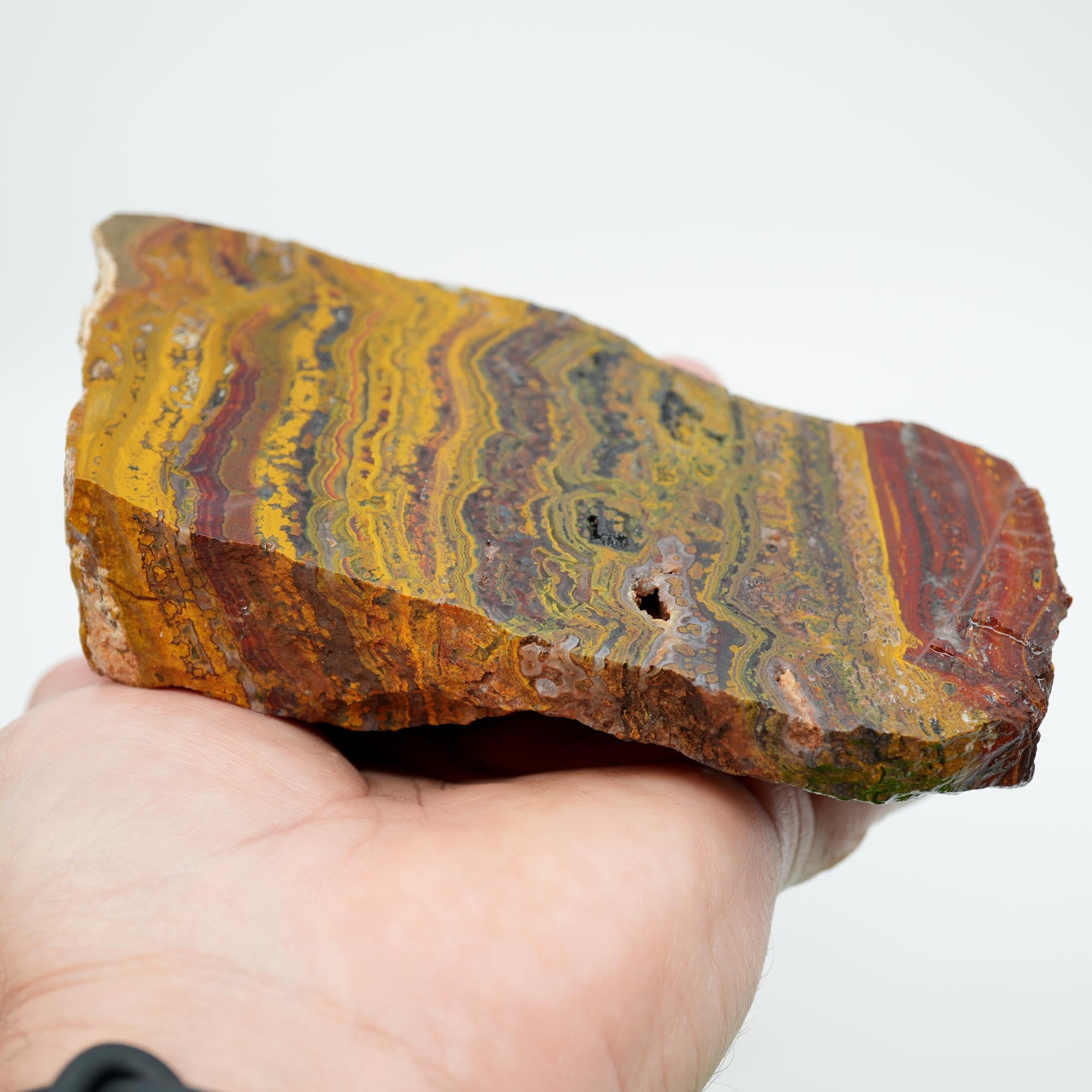 Apple Valley Jasper Cut and Proven - Black Druzy and Hematite Flowers