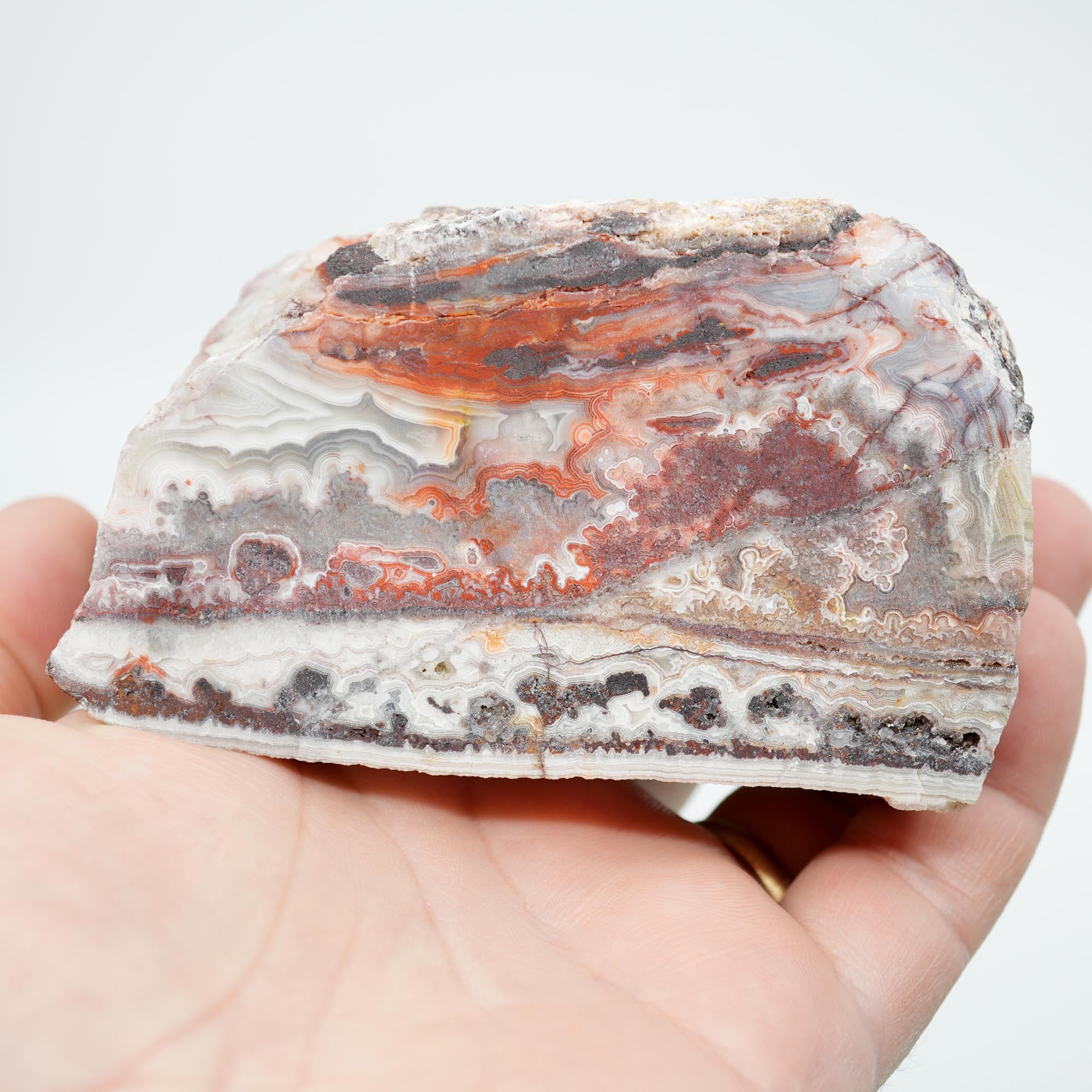 Laguna Lace Agate Cut and Proven - Bright Red with Rare Fireworks Pattern