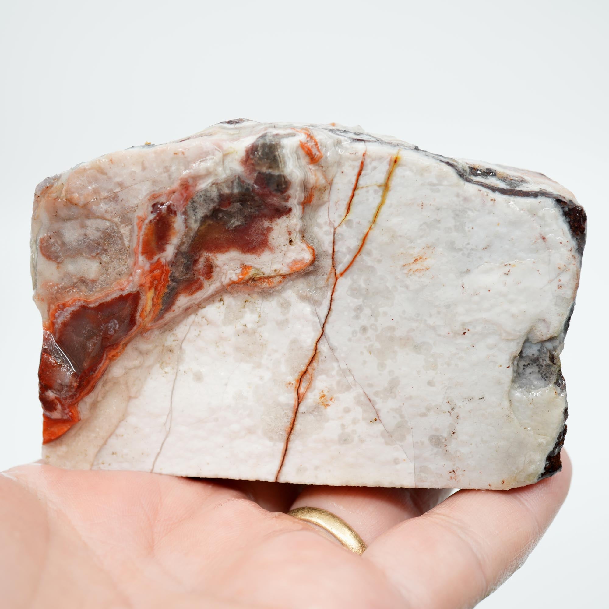 Laguna Lace Agate Cut and Proven - Bright Red with Rare Fireworks Pattern