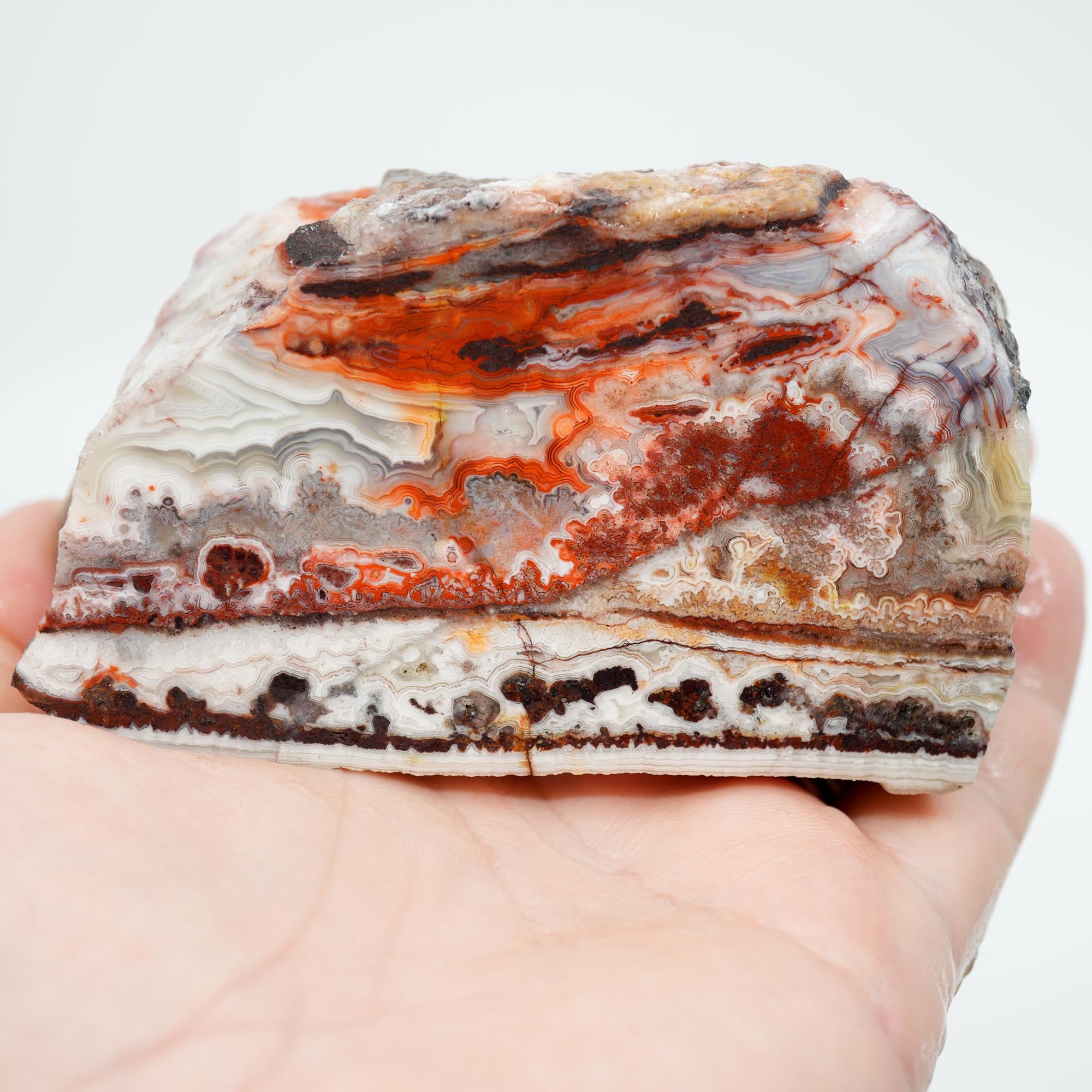 Laguna Lace Agate Cut and Proven - Bright Red with Rare Fireworks Pattern