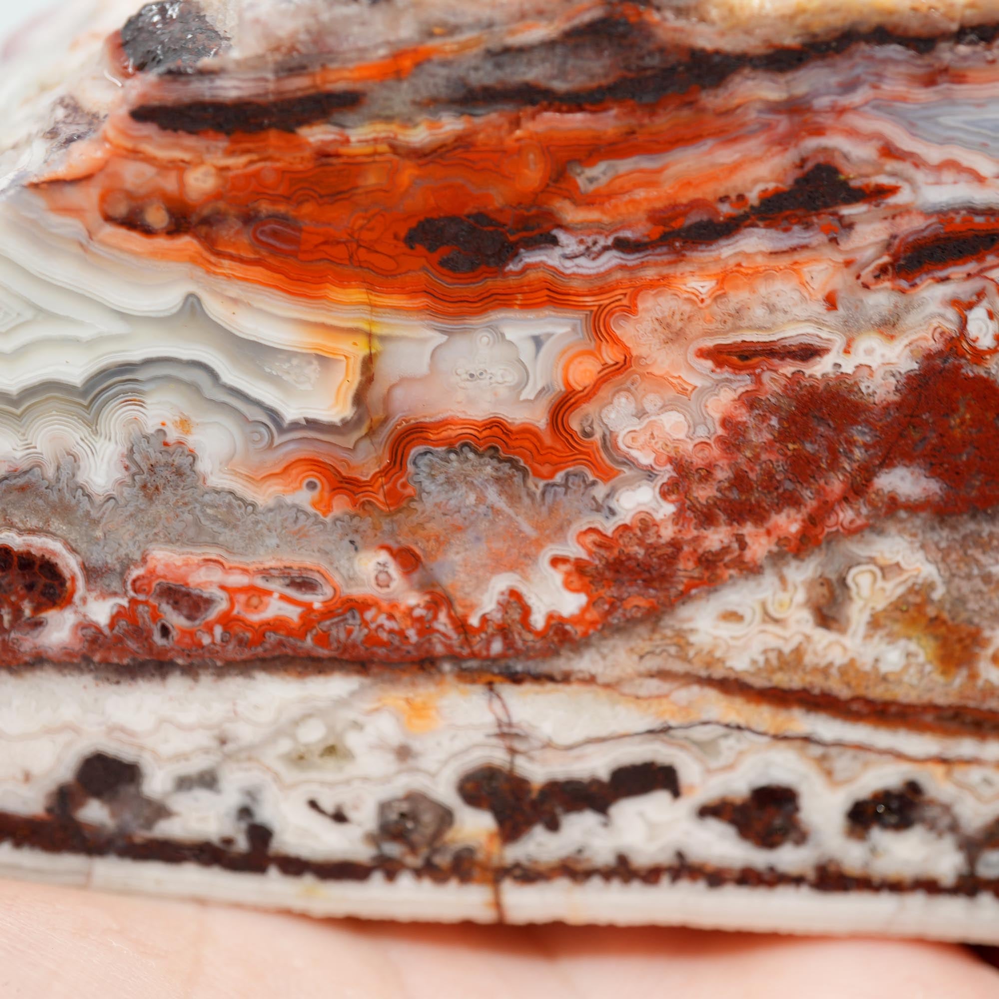 Laguna Lace Agate Cut and Proven - Bright Red with Rare Fireworks Pattern