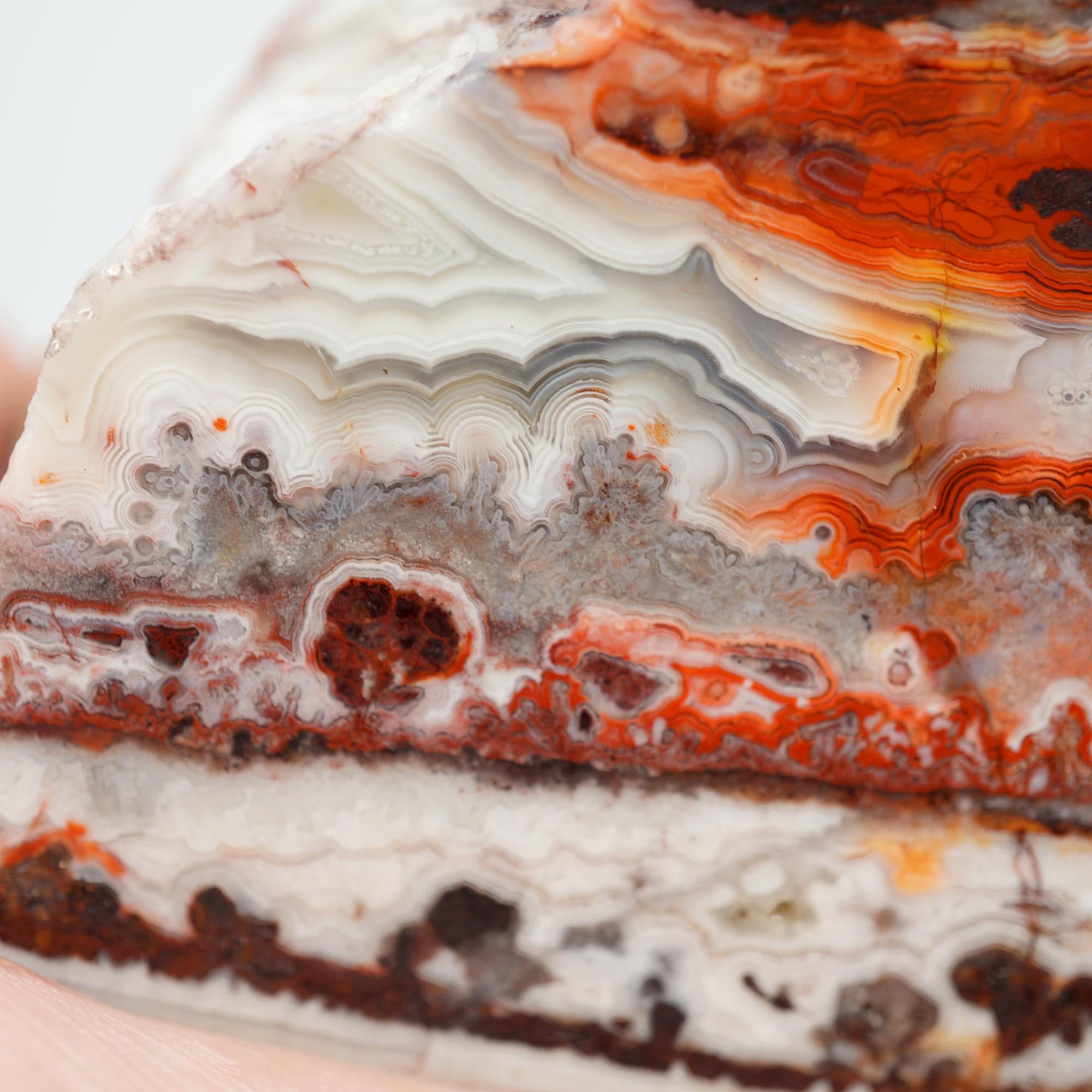 Laguna Lace Agate Cut and Proven - Bright Red with Rare Fireworks Pattern