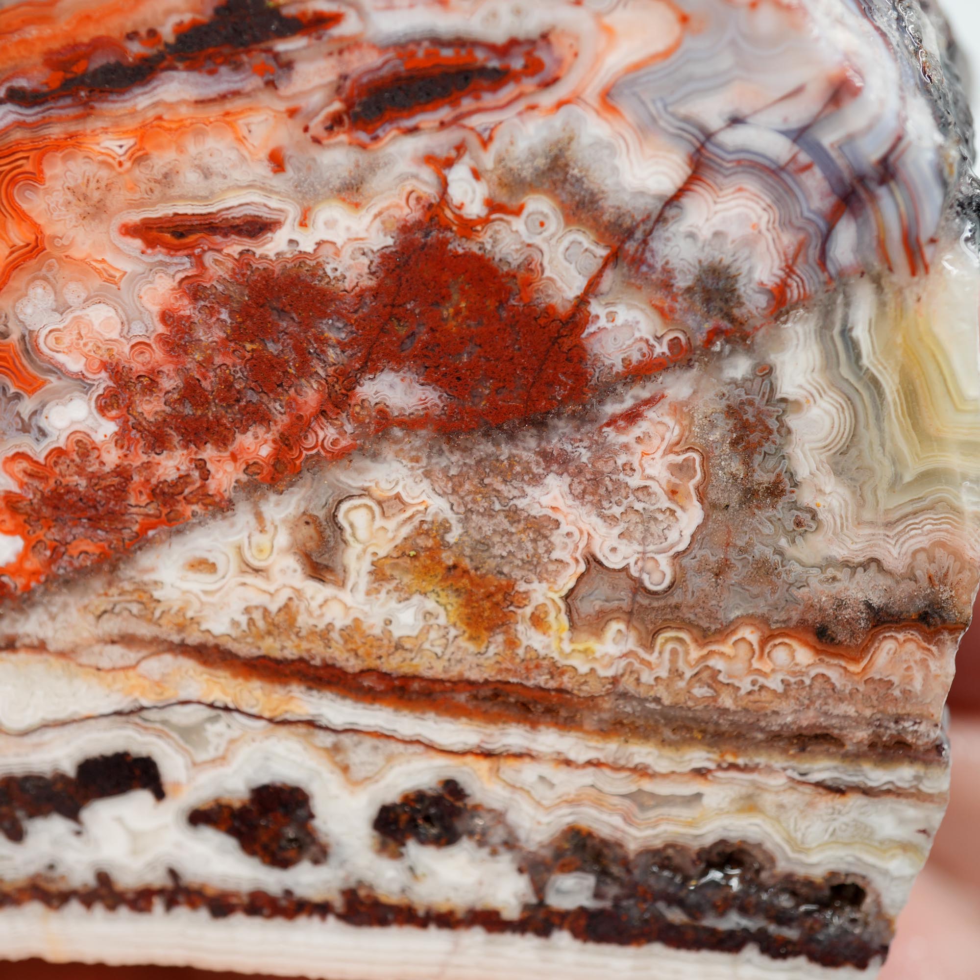 Laguna Lace Agate Cut and Proven - Bright Red with Rare Fireworks Pattern