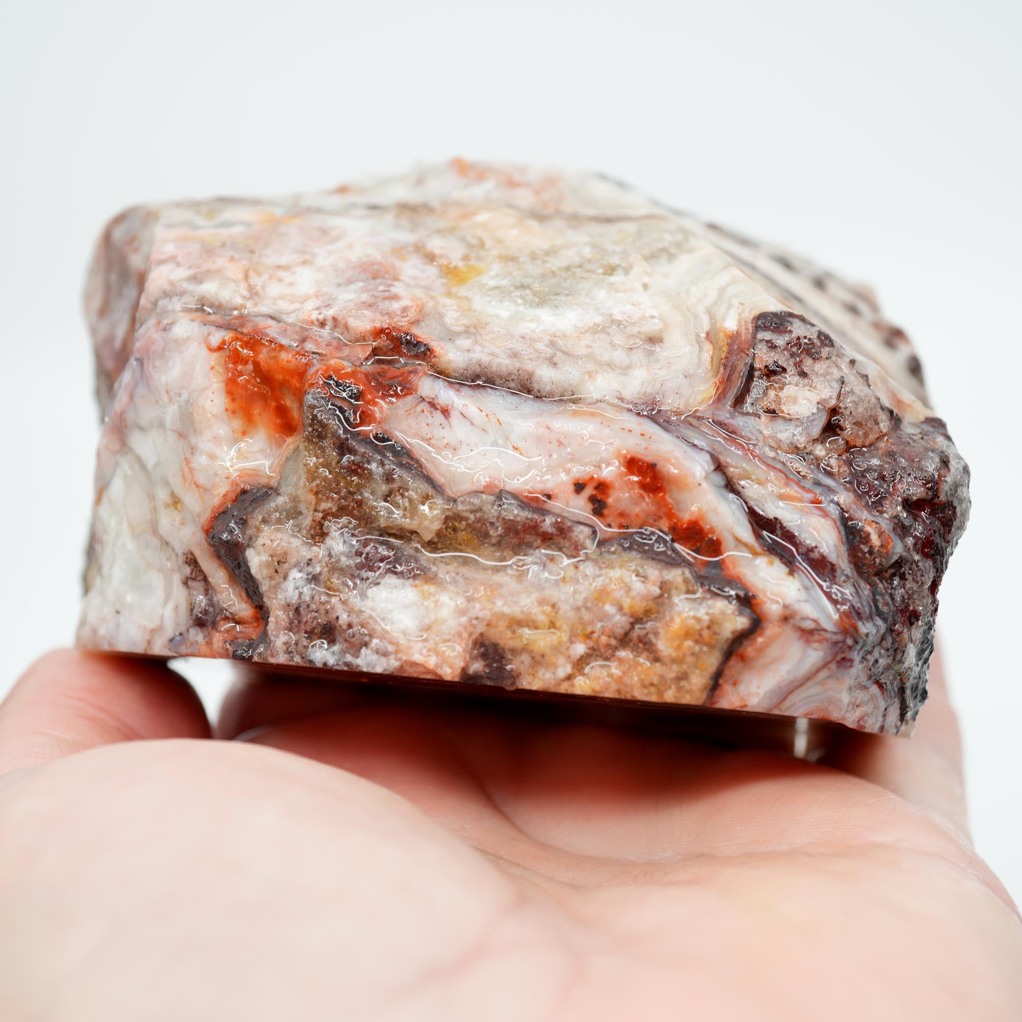 Laguna Lace Agate Cut and Proven - Bright Red with Rare Fireworks Pattern