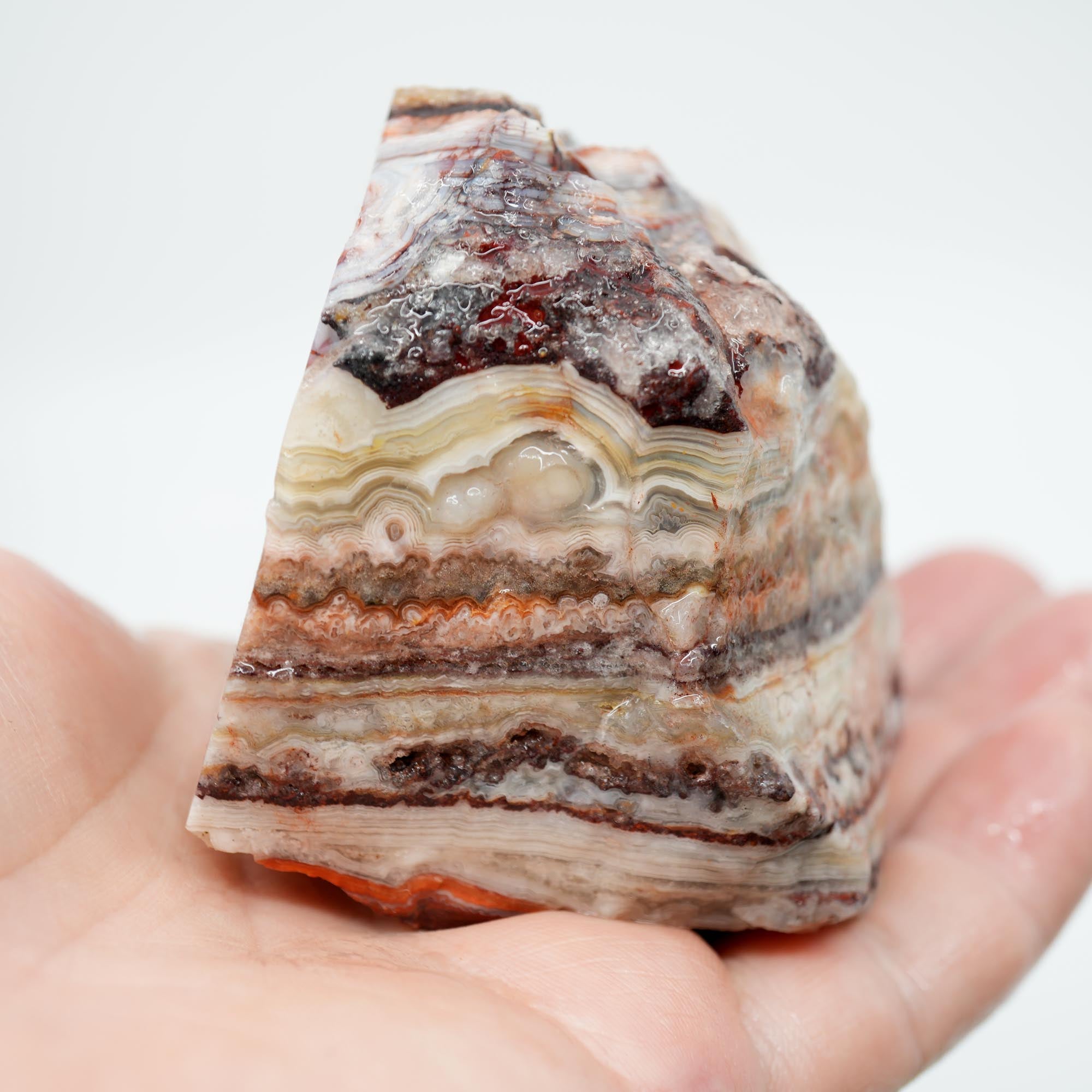 Laguna Lace Agate Cut and Proven - Bright Red with Rare Fireworks Pattern