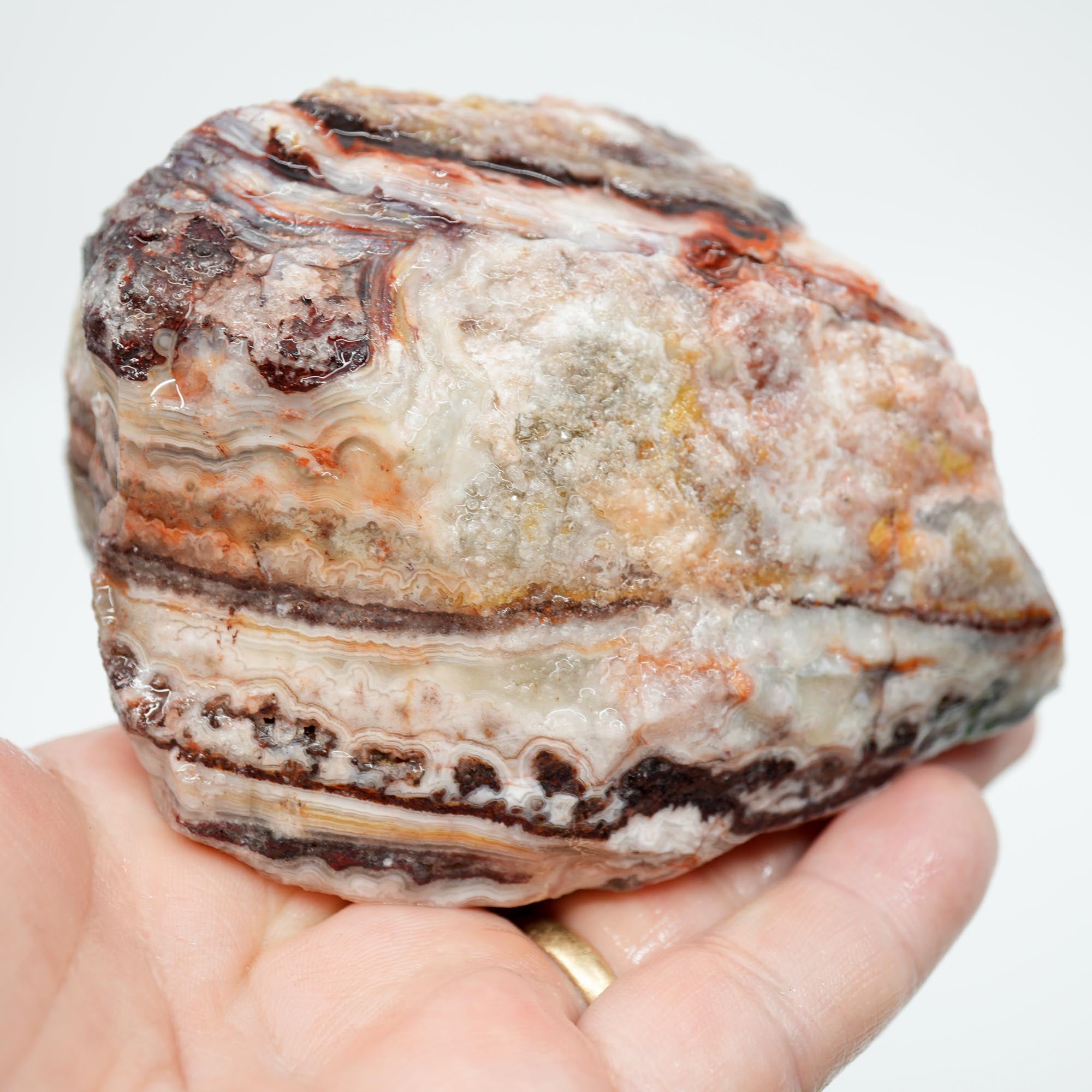 Laguna Lace Agate Cut and Proven - Bright Red with Rare Fireworks Pattern