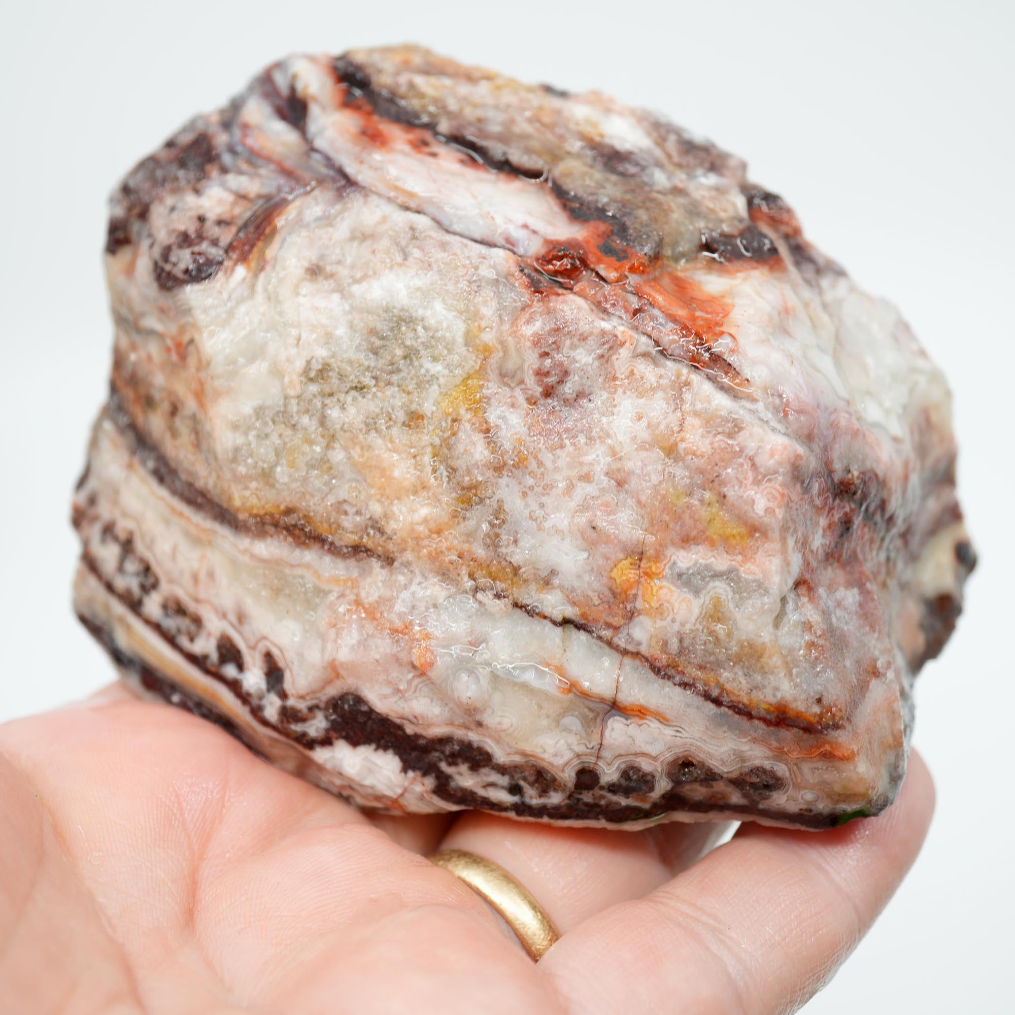 Laguna Lace Agate Cut and Proven - Bright Red with Rare Fireworks Pattern