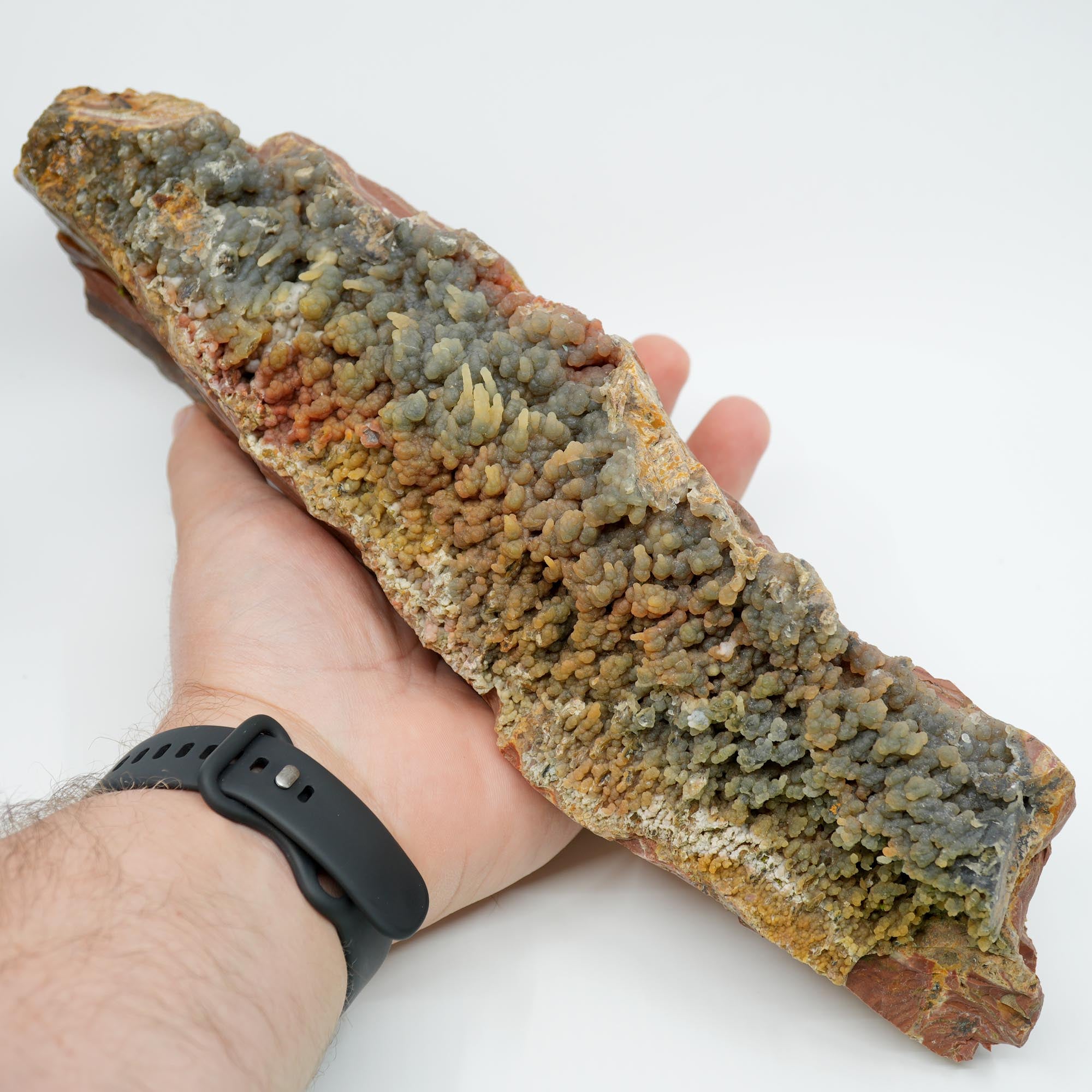 Eagle Rock Plume Agate Rough - Old Stock with Angel Wing Botryoidal Grape