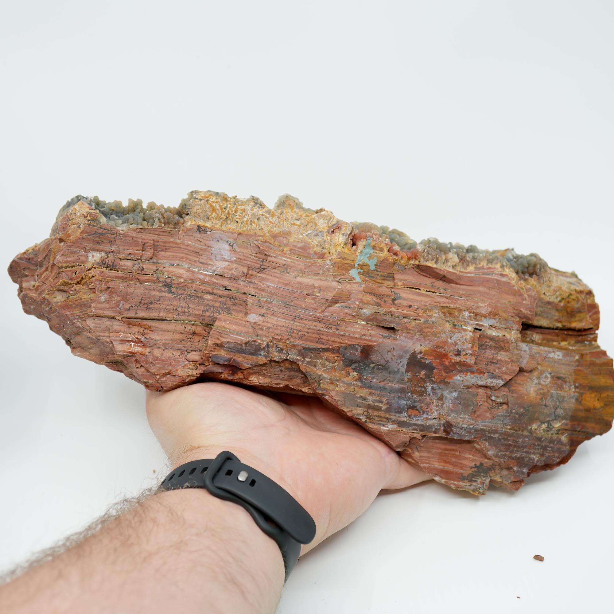 Eagle Rock Plume Agate Rough - Old Stock with Angel Wing Botryoidal Grape