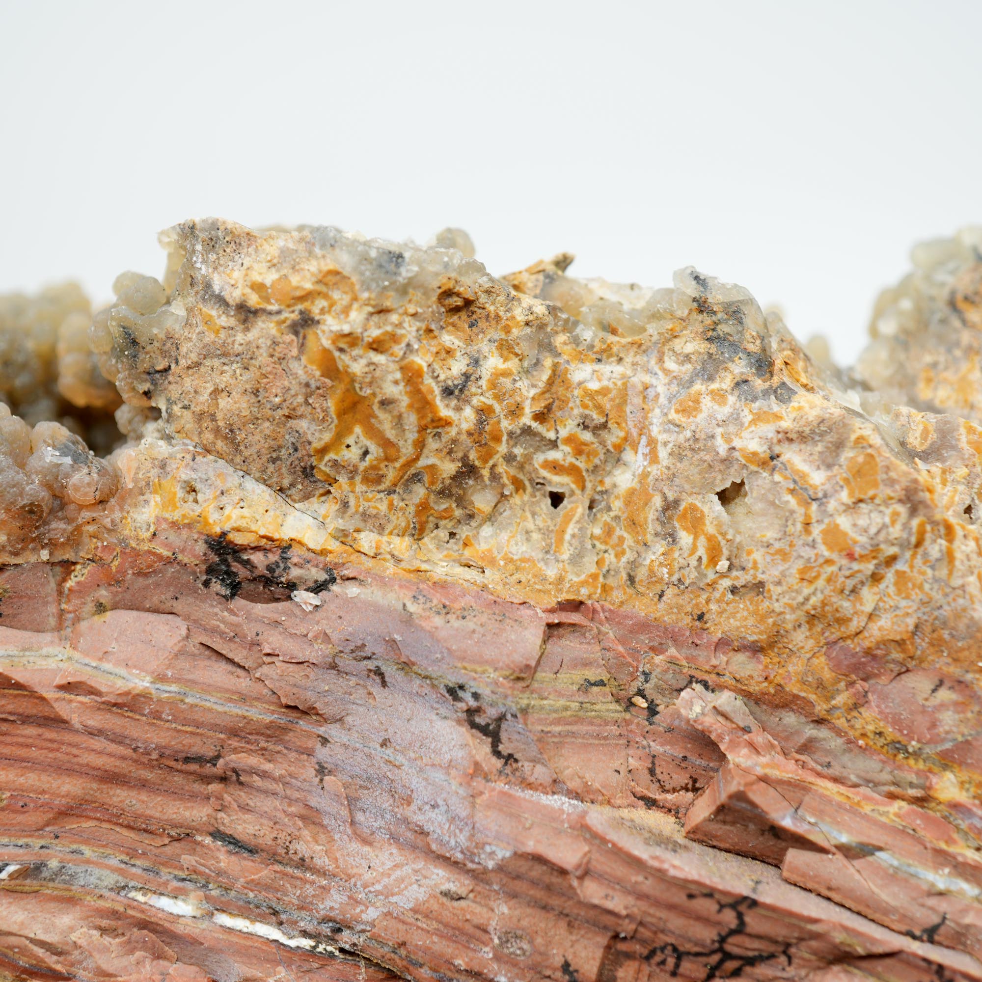 Eagle Rock Plume Agate Rough - Old Stock with Angel Wing Botryoidal Grape