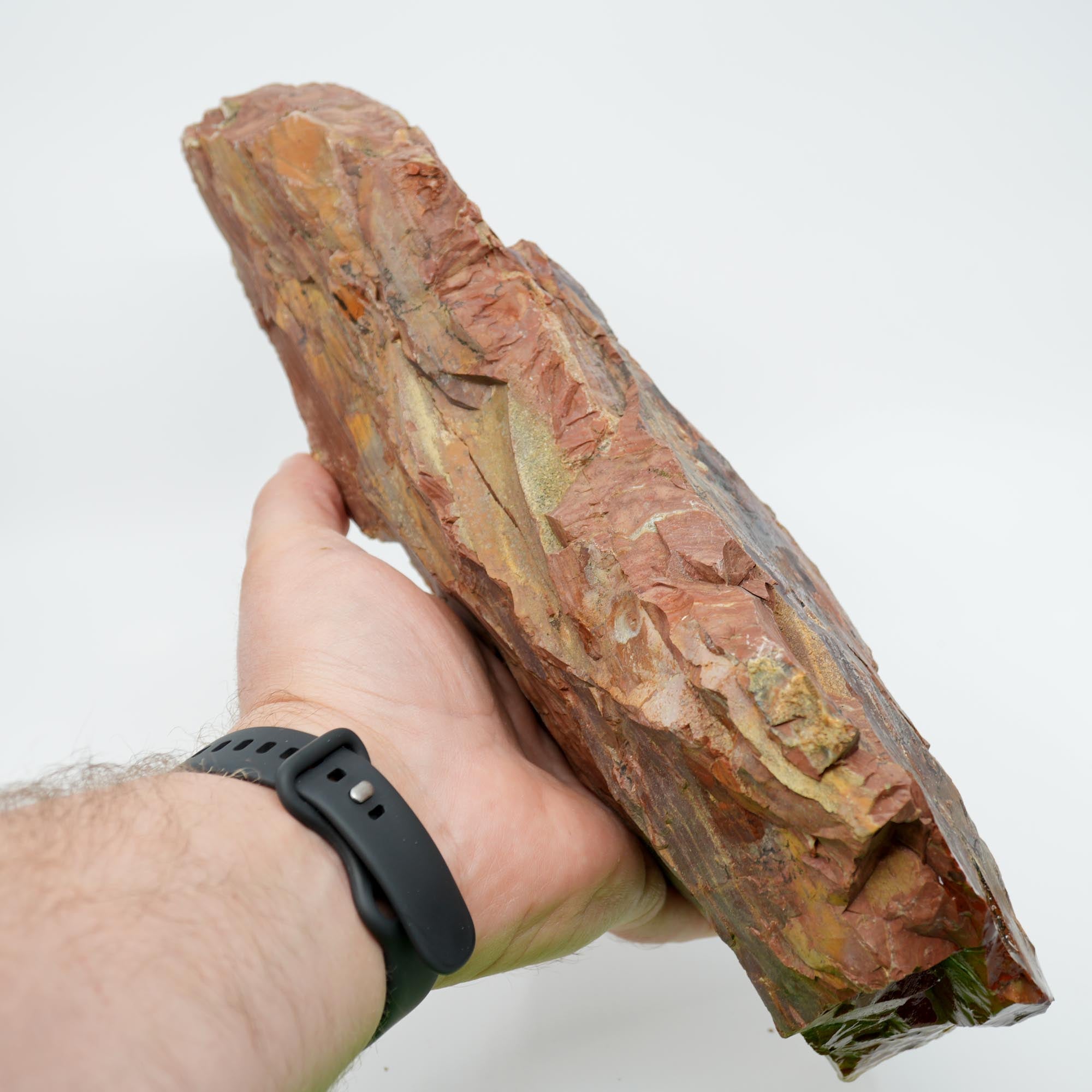 Eagle Rock Plume Agate Rough - Old Stock with Angel Wing Botryoidal Grape