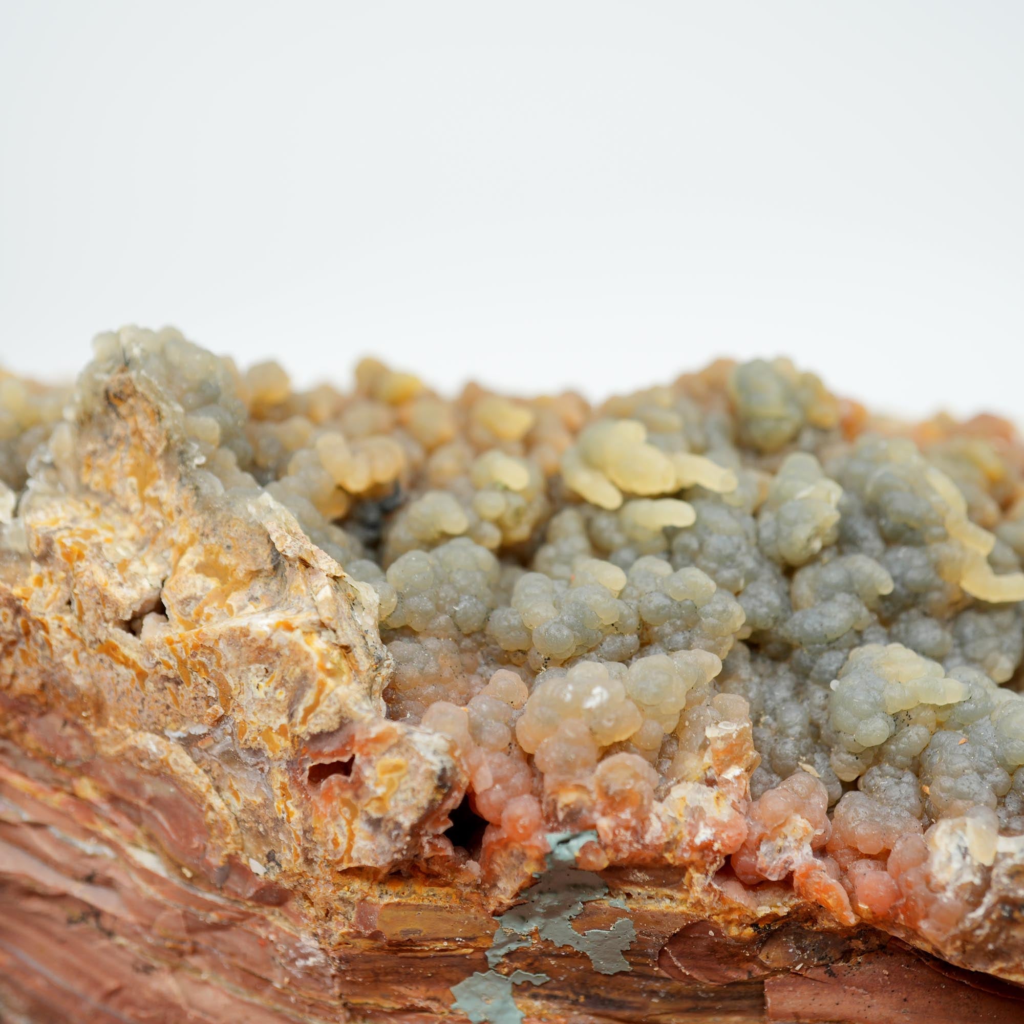 Eagle Rock Plume Agate Rough - Old Stock with Angel Wing Botryoidal Grape