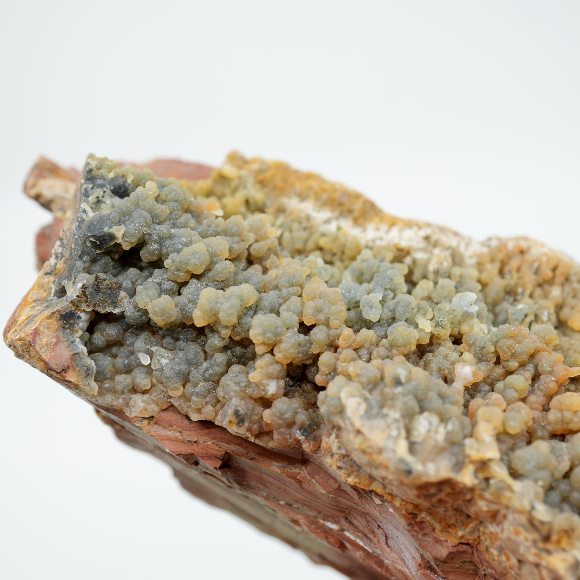 Eagle Rock Plume Agate Rough - Old Stock with Angel Wing Botryoidal Grape