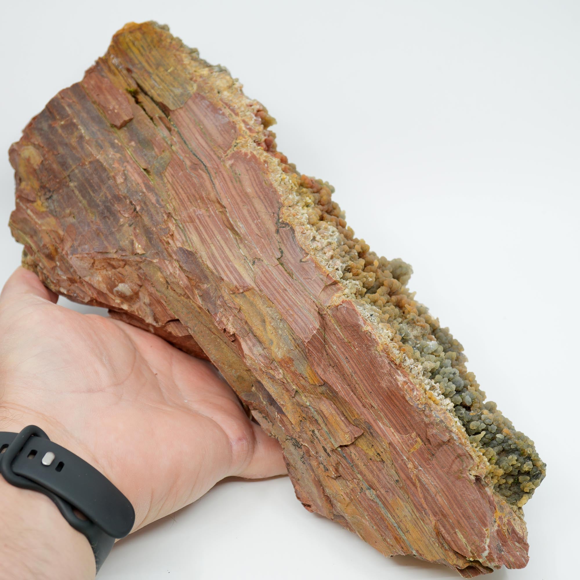 Eagle Rock Plume Agate Rough - Old Stock with Angel Wing Botryoidal Grape