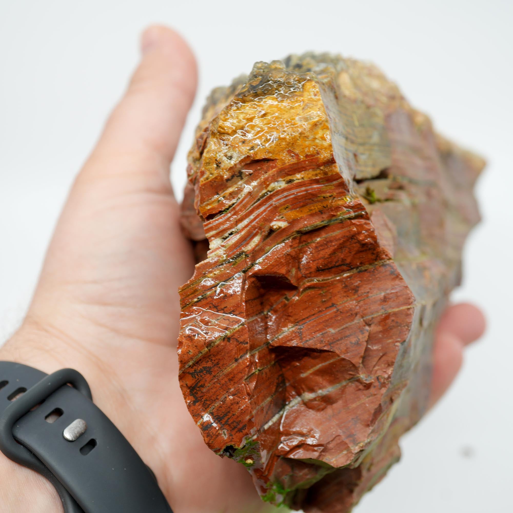 Eagle Rock Plume Agate Rough - Old Stock with Angel Wing Botryoidal Grape