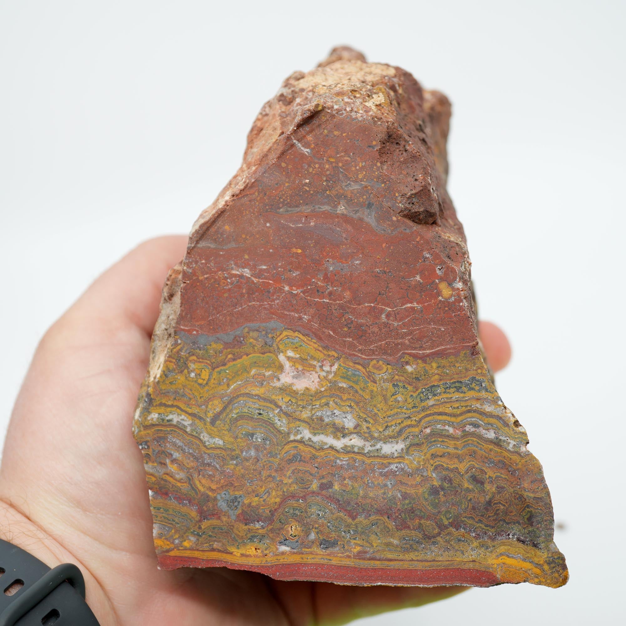 Apple Valley Jasper Cut and Proven - Stromatolite with Red Jasper Cap