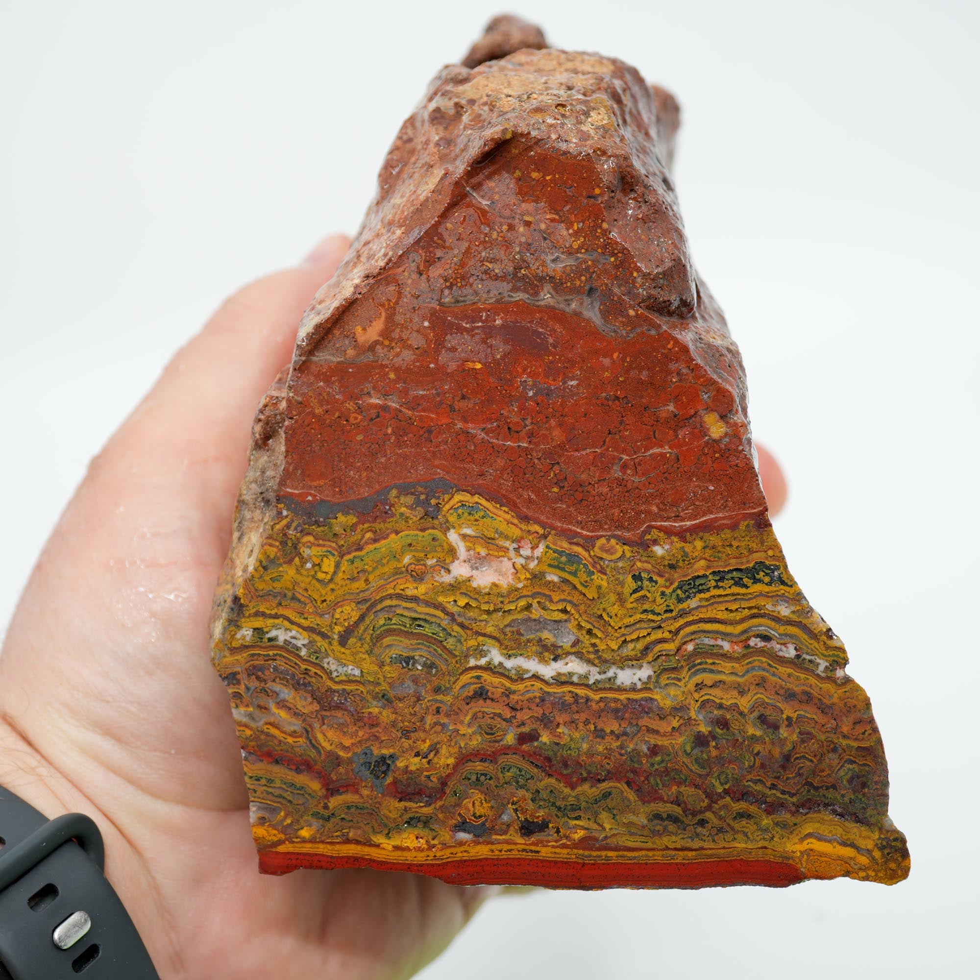 Apple Valley Jasper Cut and Proven - Stromatolite with Red Jasper Cap
