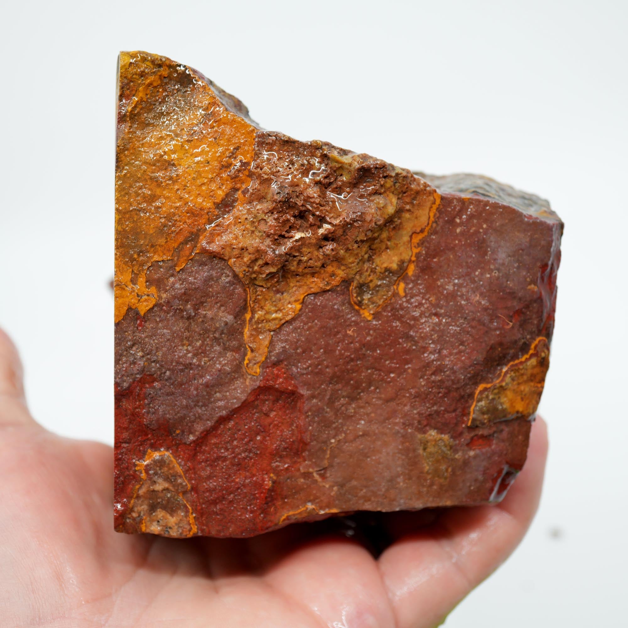 Apple Valley Jasper Cut and Proven - Stromatolite with Red Jasper Cap