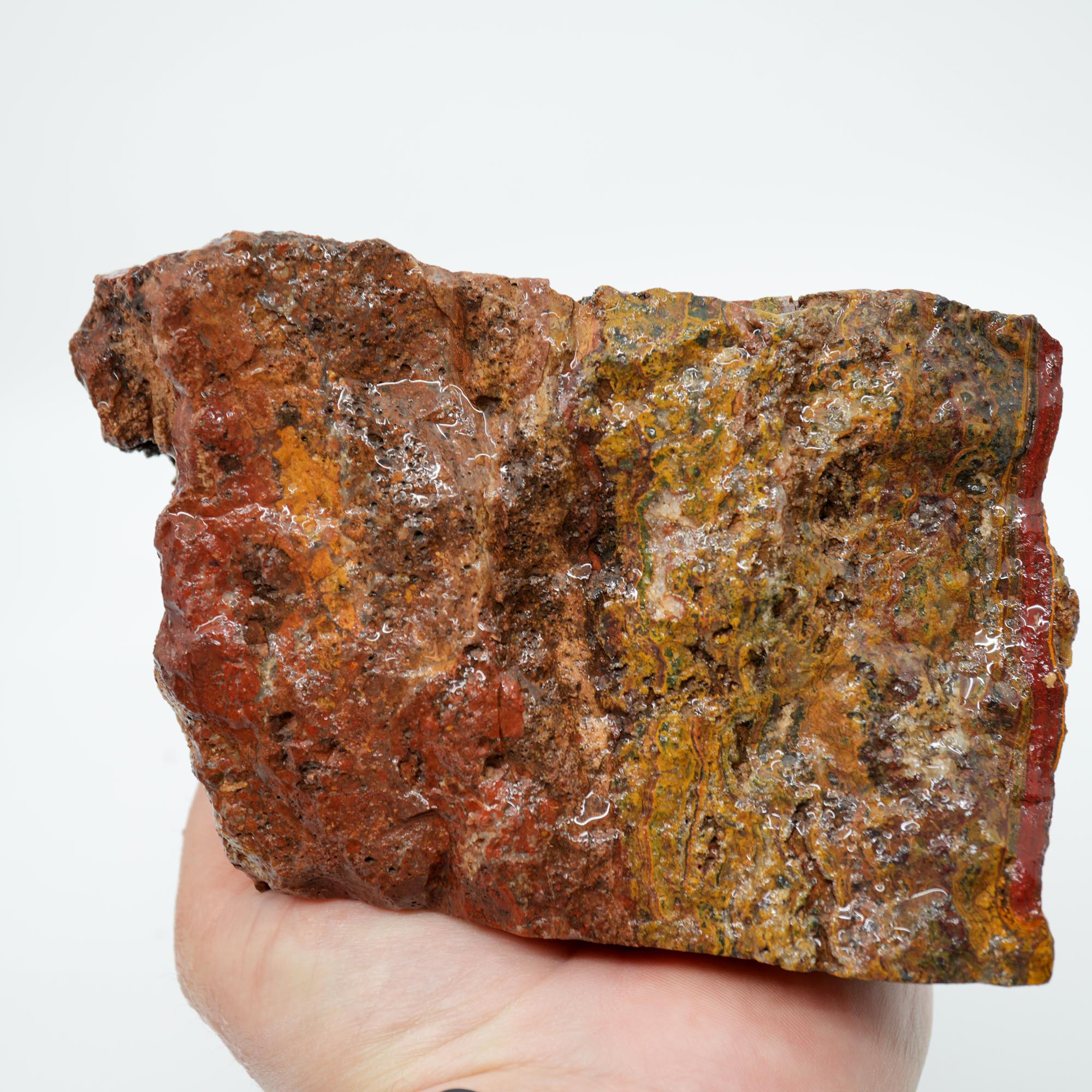 Apple Valley Jasper Cut and Proven - Stromatolite with Red Jasper Cap
