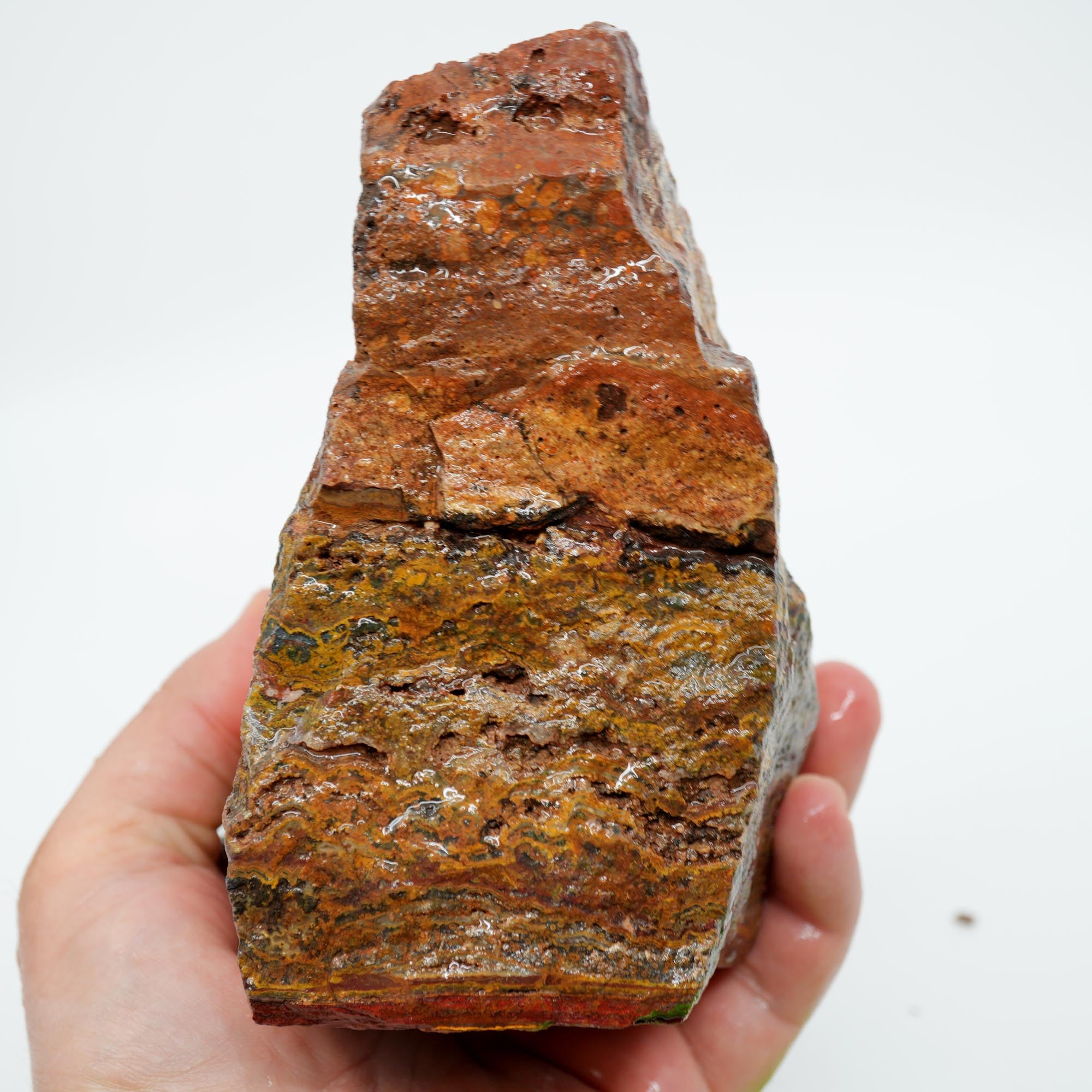 Apple Valley Jasper Cut and Proven - Stromatolite with Red Jasper Cap