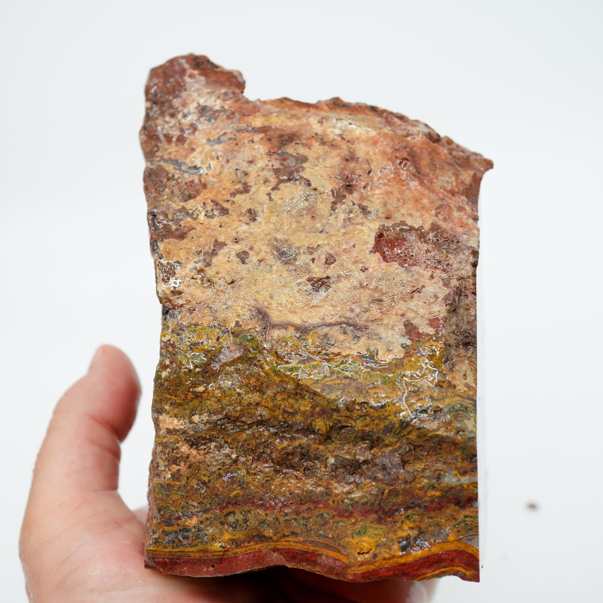 Apple Valley Jasper Cut and Proven - Stromatolite with Red Jasper Cap