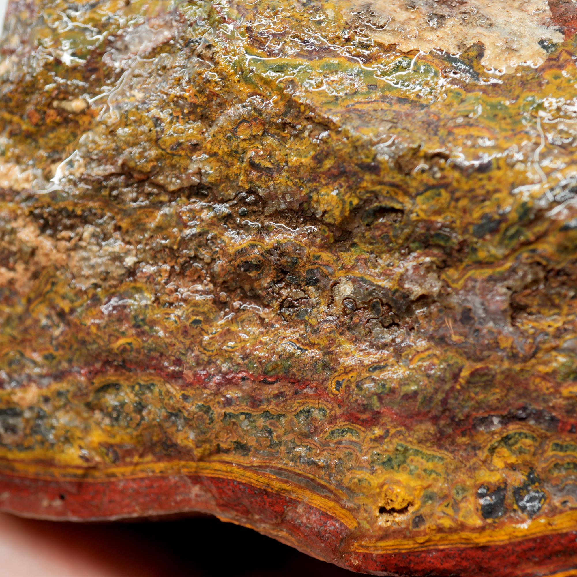 Apple Valley Jasper Cut and Proven - Stromatolite with Red Jasper Cap