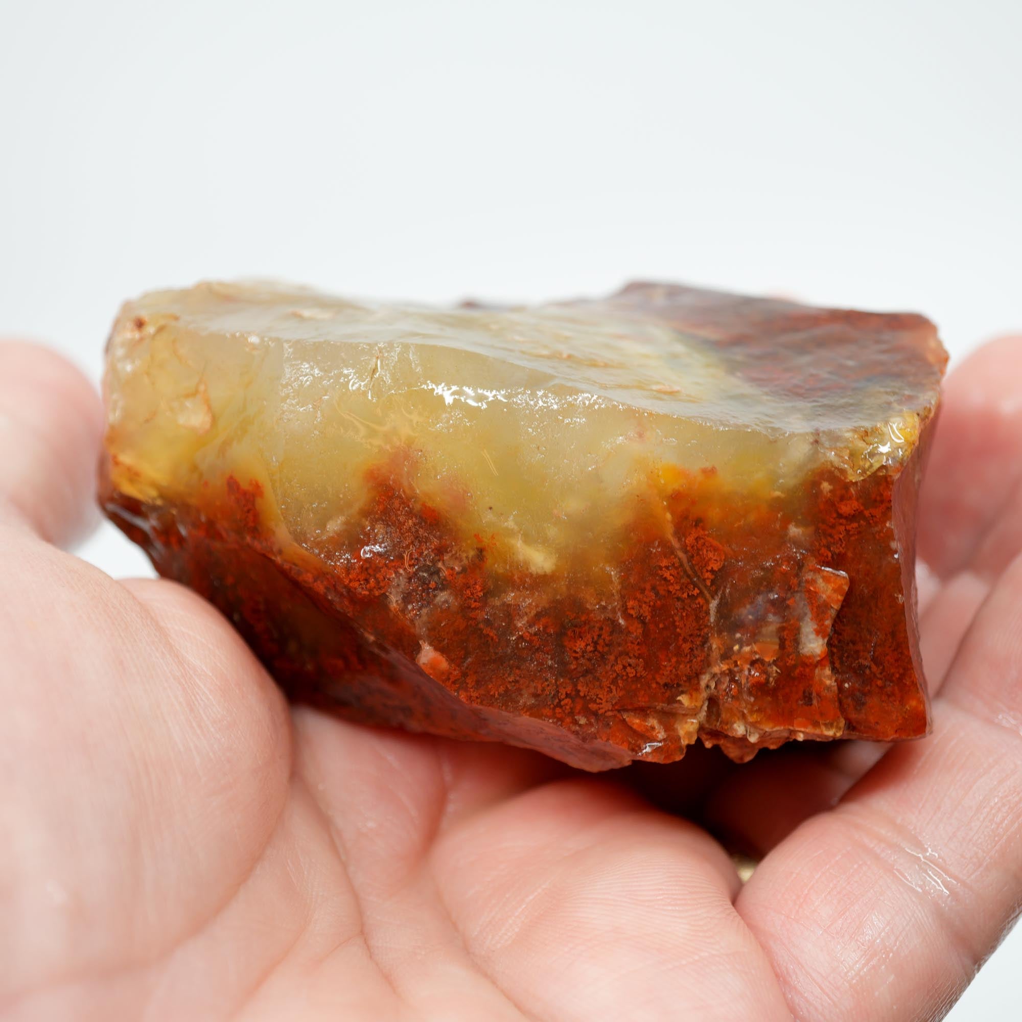 Carey Plume Agate Rough - Red Plume in White Foggy Agate Old Stock