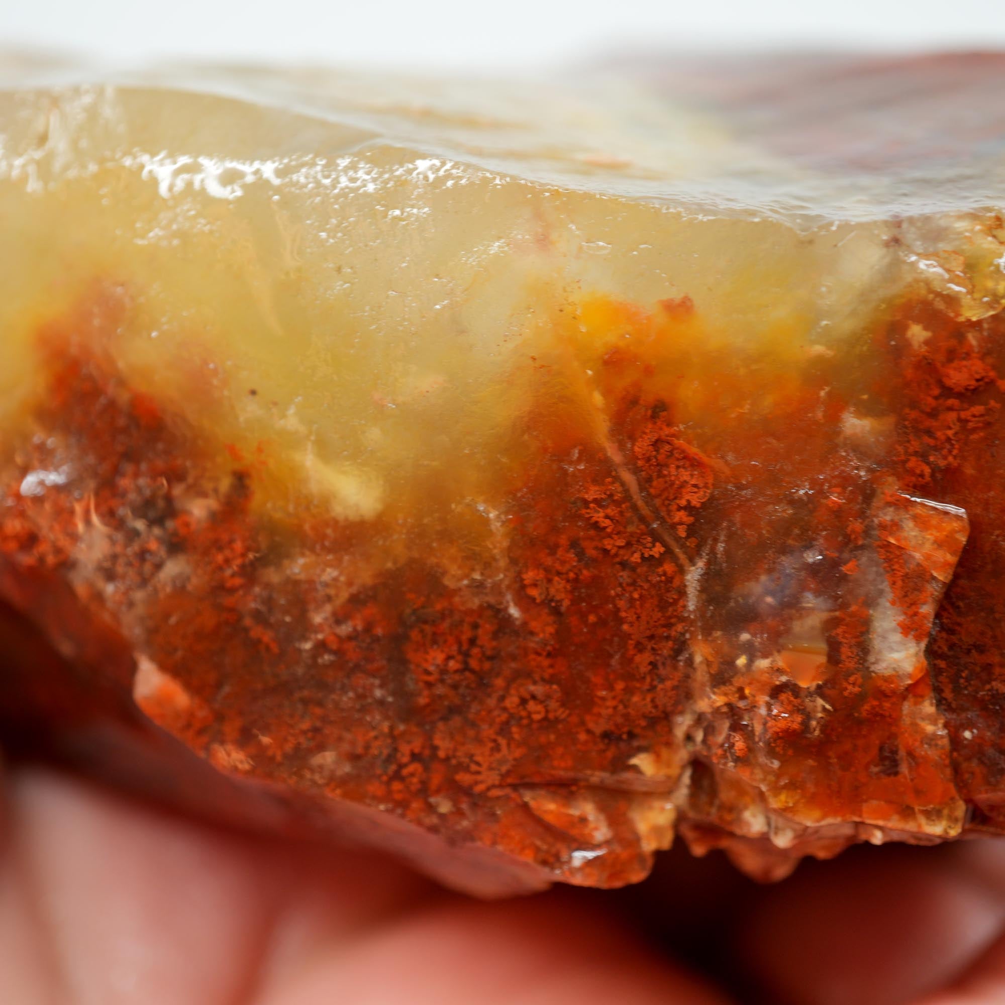 Carey Plume Agate Rough - Red Plume in White Foggy Agate Old Stock