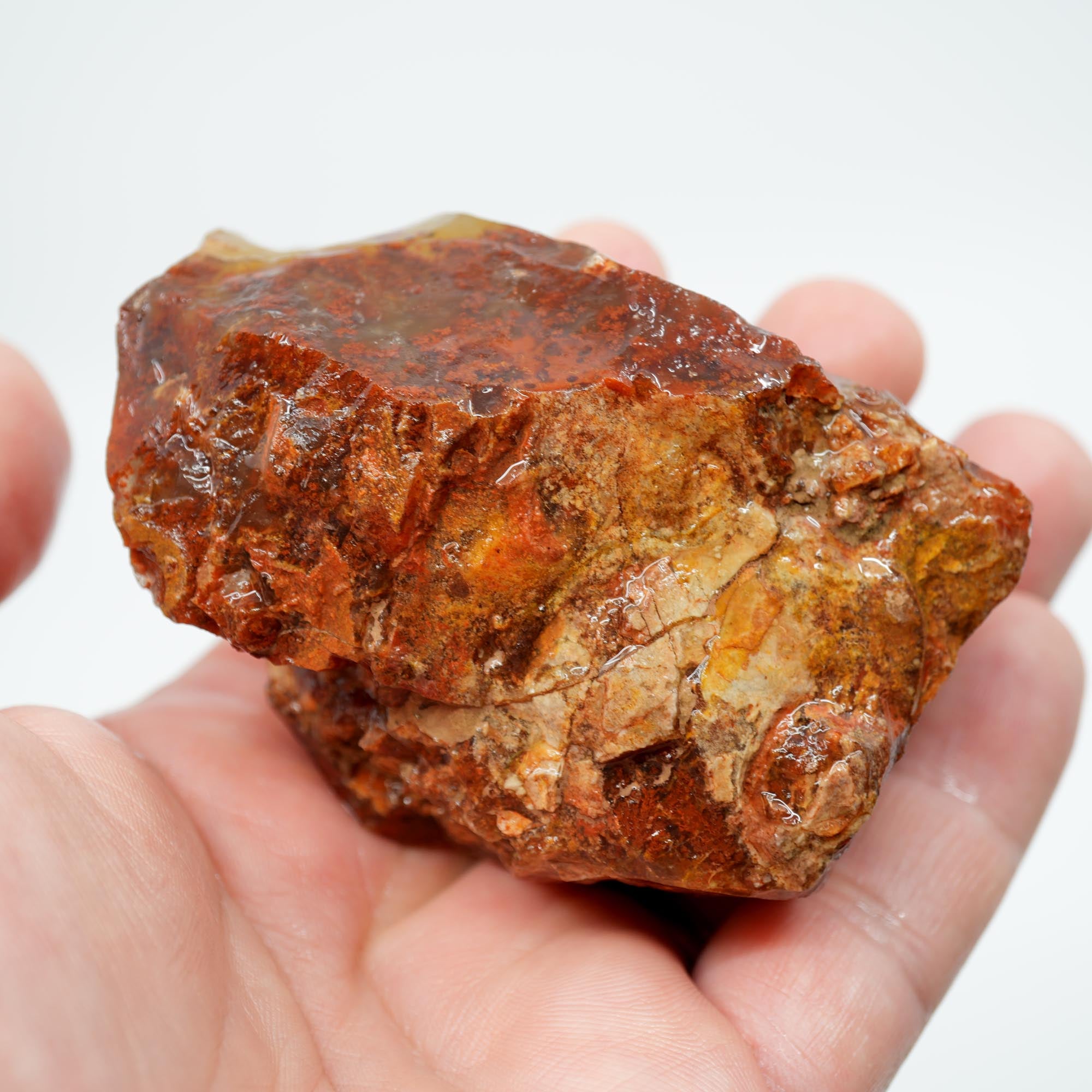 Carey Plume Agate Rough - Red Plume in White Foggy Agate Old Stock