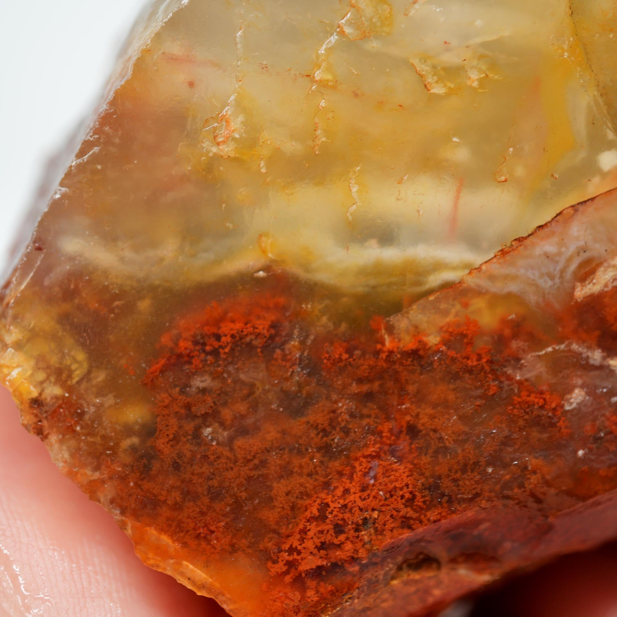 Carey Plume Agate Rough - Red Plume in White Foggy Agate Old Stock