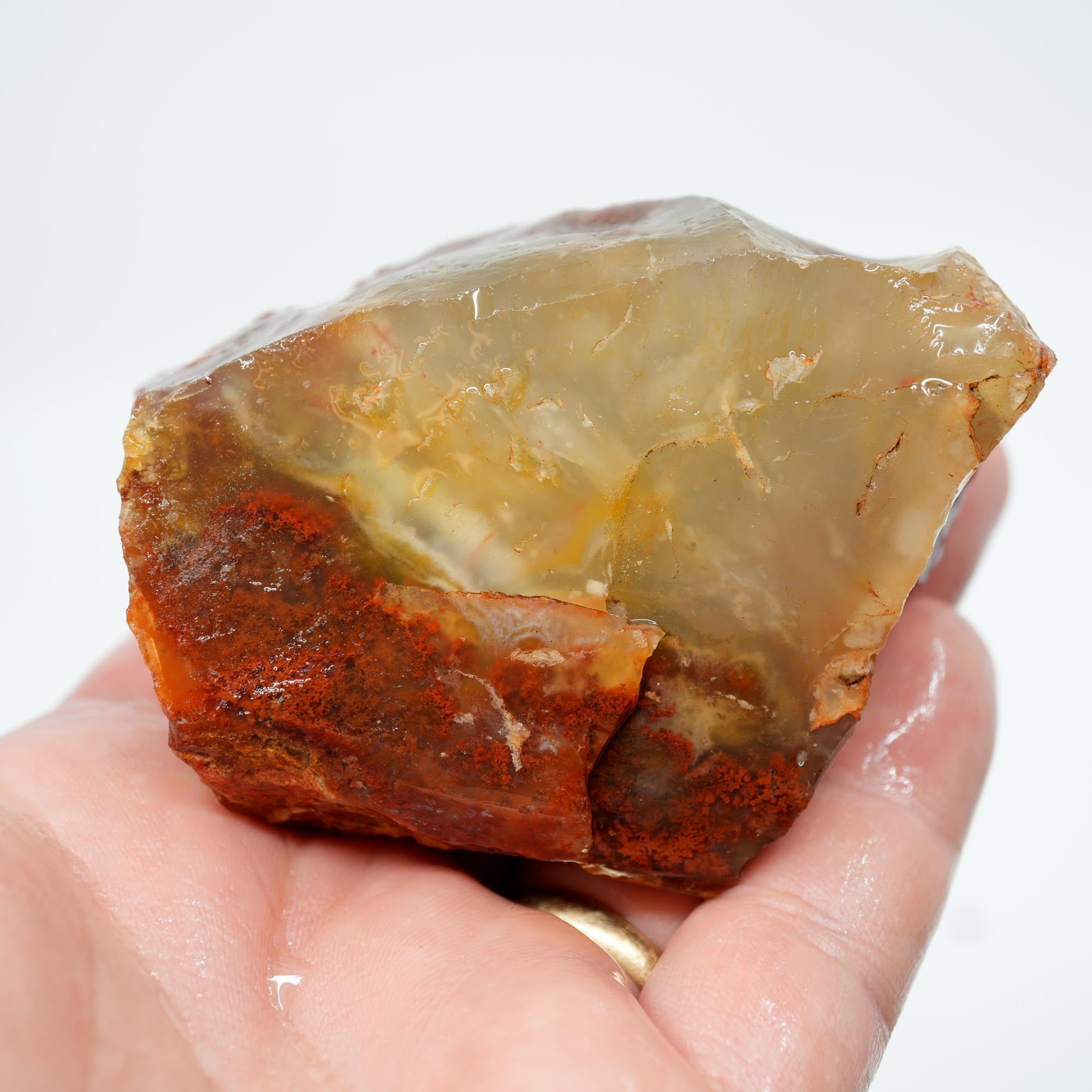 Carey Plume Agate Rough - Red Plume in White Foggy Agate Old Stock
