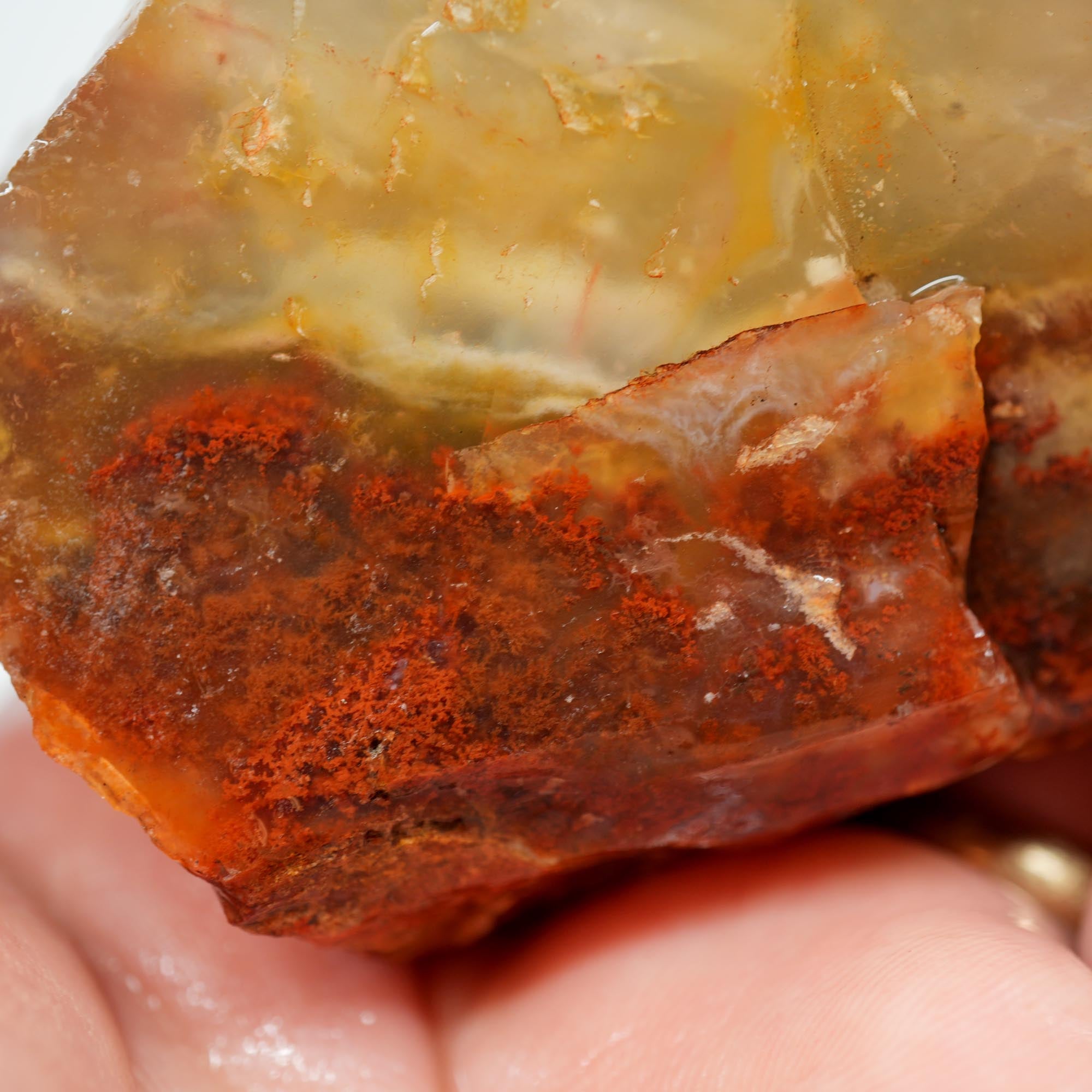 Carey Plume Agate Rough - Red Plume in White Foggy Agate Old Stock