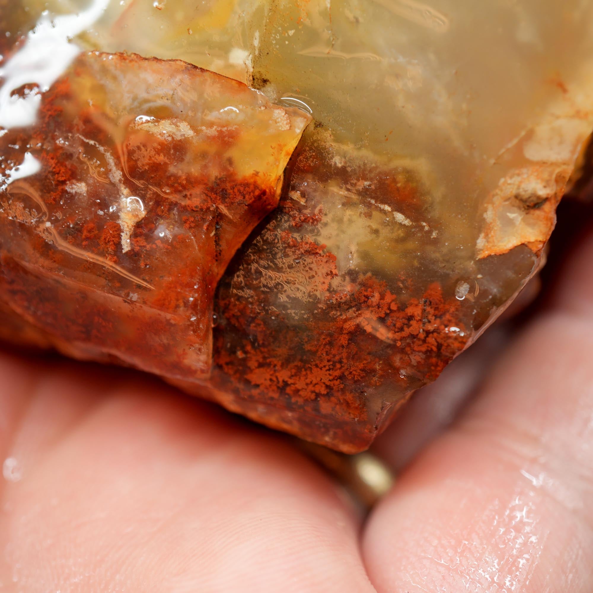 Carey Plume Agate Rough - Red Plume in White Foggy Agate Old Stock