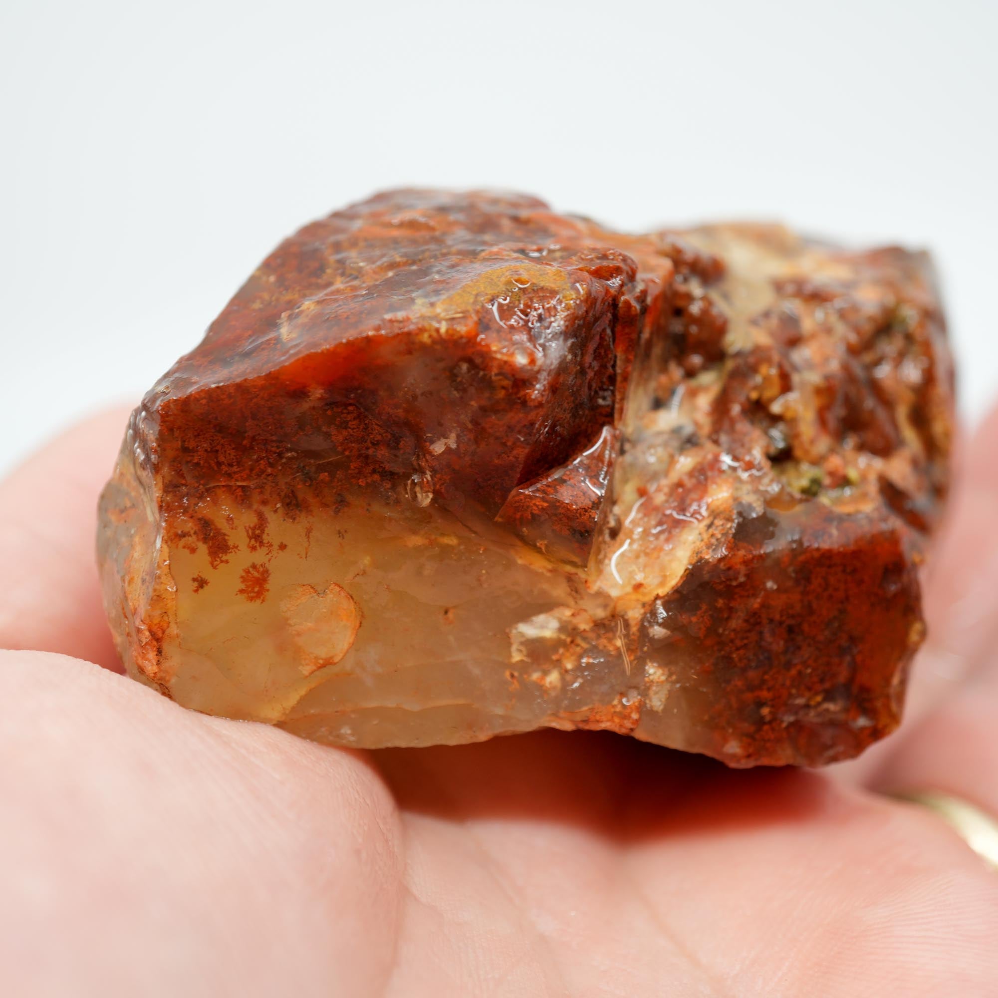 Carey Plume Agate Rough - Red Plume in White Foggy Agate Old Stock