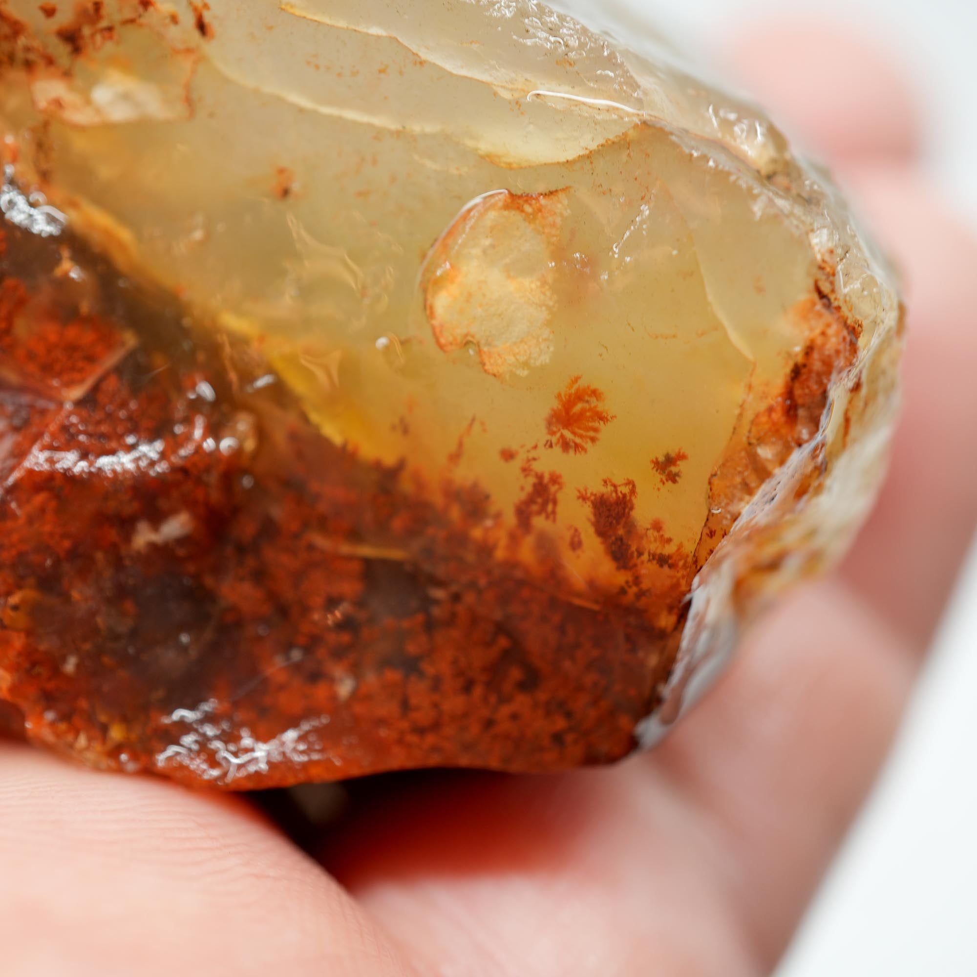 Carey Plume Agate Rough - Red Plume in White Foggy Agate Old Stock